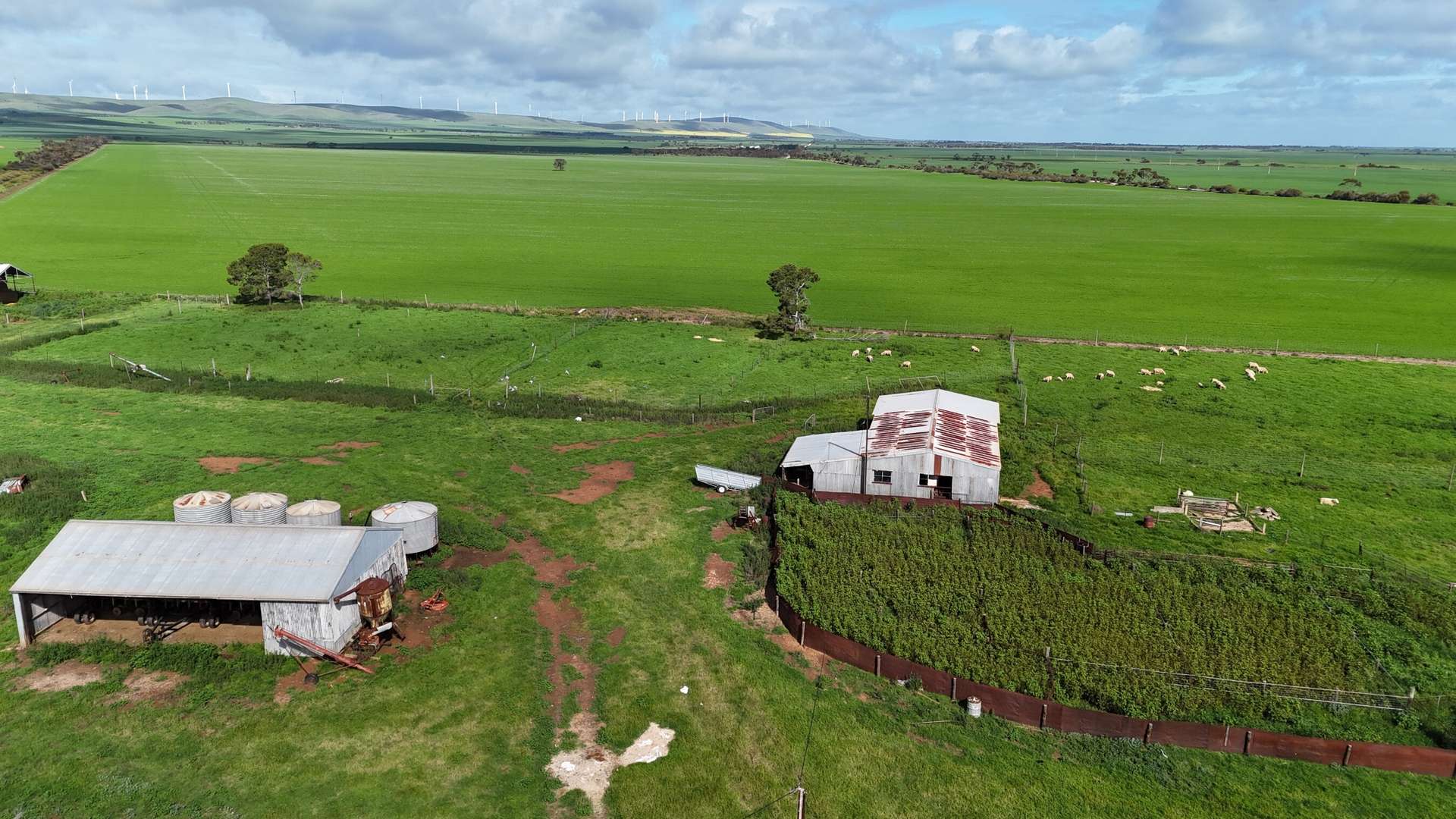 'Spackys' 12 Corella Road, Mundoora For Sale by Farmbuy.com - image 10