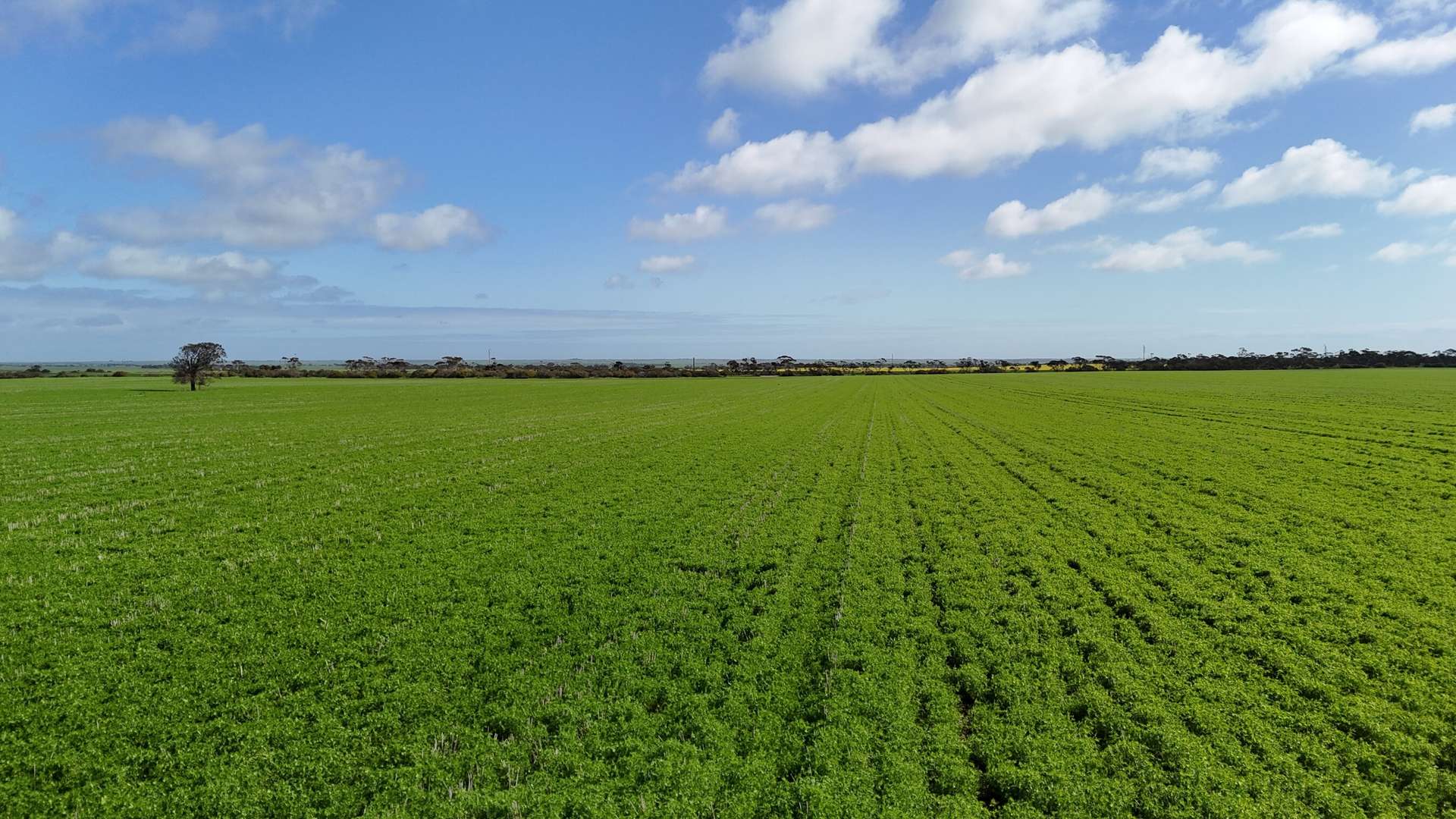 'Spackys' 12 Corella Road, Mundoora For Sale by Farmbuy.com - image 6
