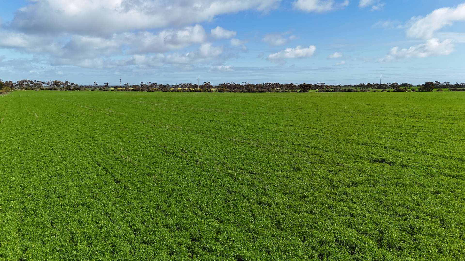 'Spackys' 12 Corella Road, Mundoora For Sale by Farmbuy.com - image 7