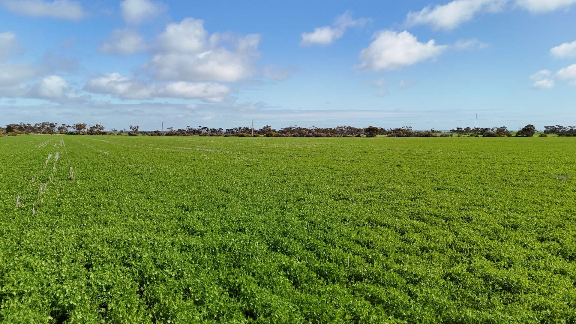 'Spackys' 12 Corella Road, Mundoora For Sale by Farmbuy.com - image 9