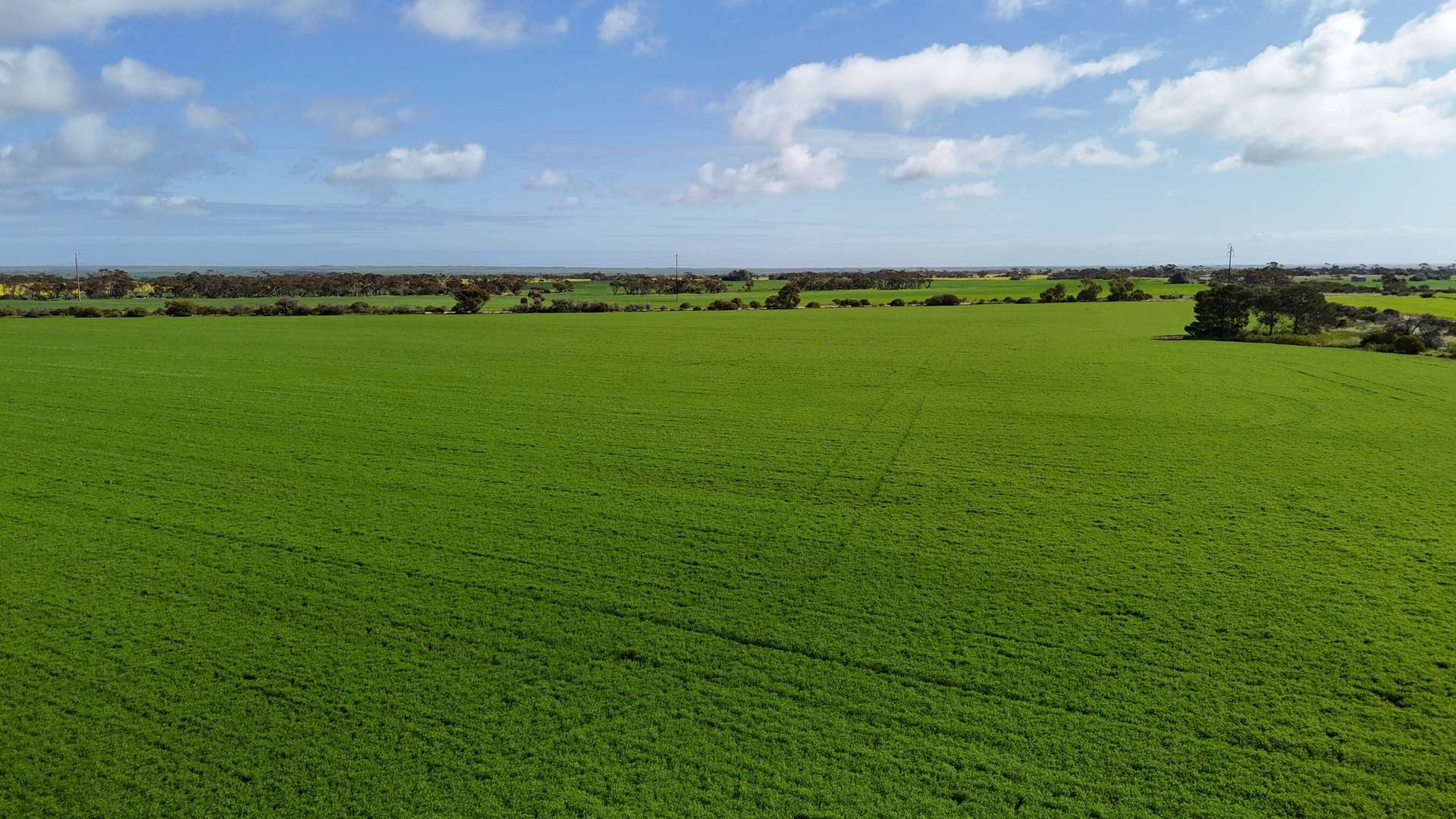 'Spackys' 12 Corella Road, Mundoora For Sale by Farmbuy.com - image 8
