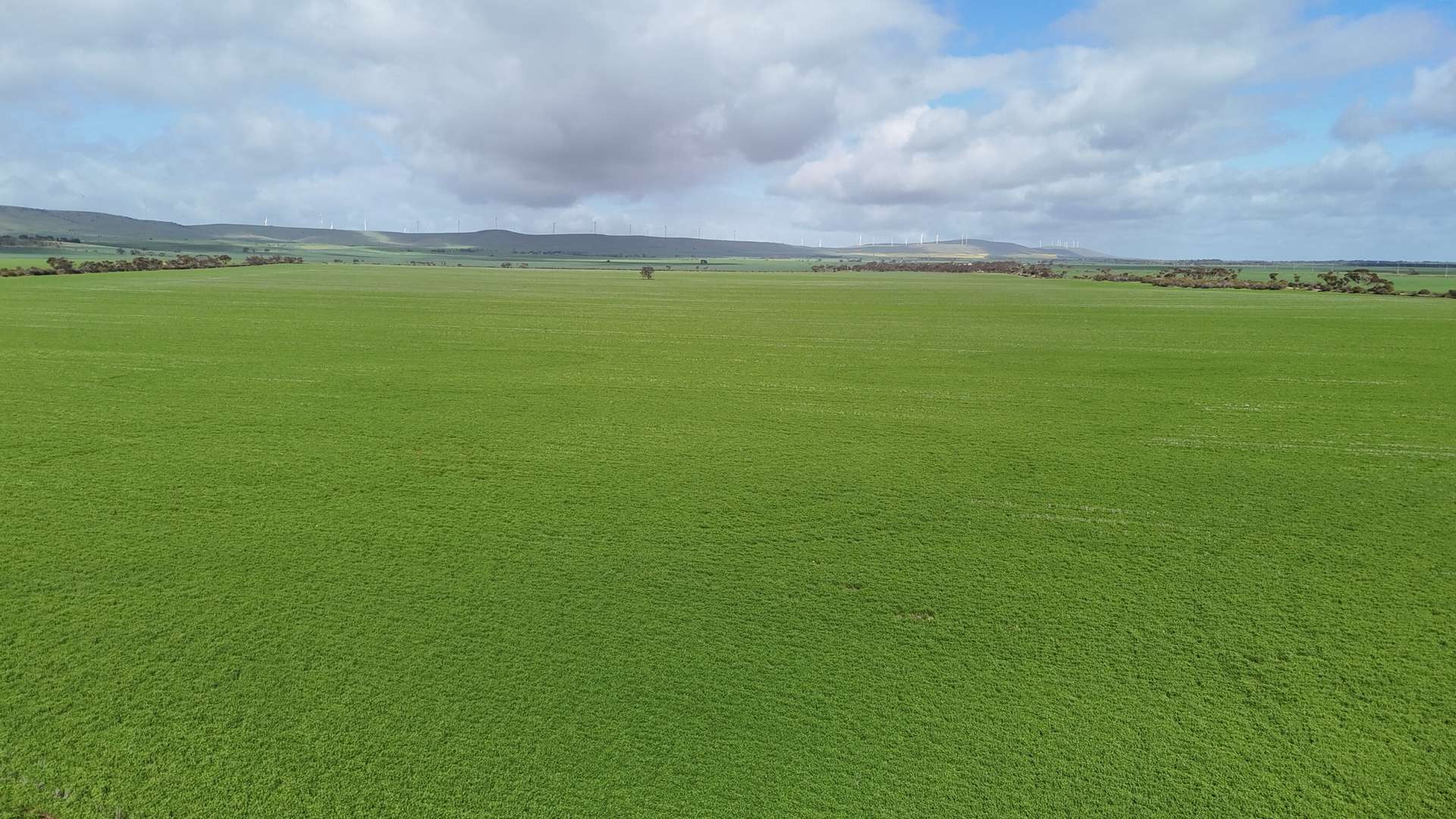 'Spackys' 12 Corella Road, Mundoora For Sale by Farmbuy.com - image 2
