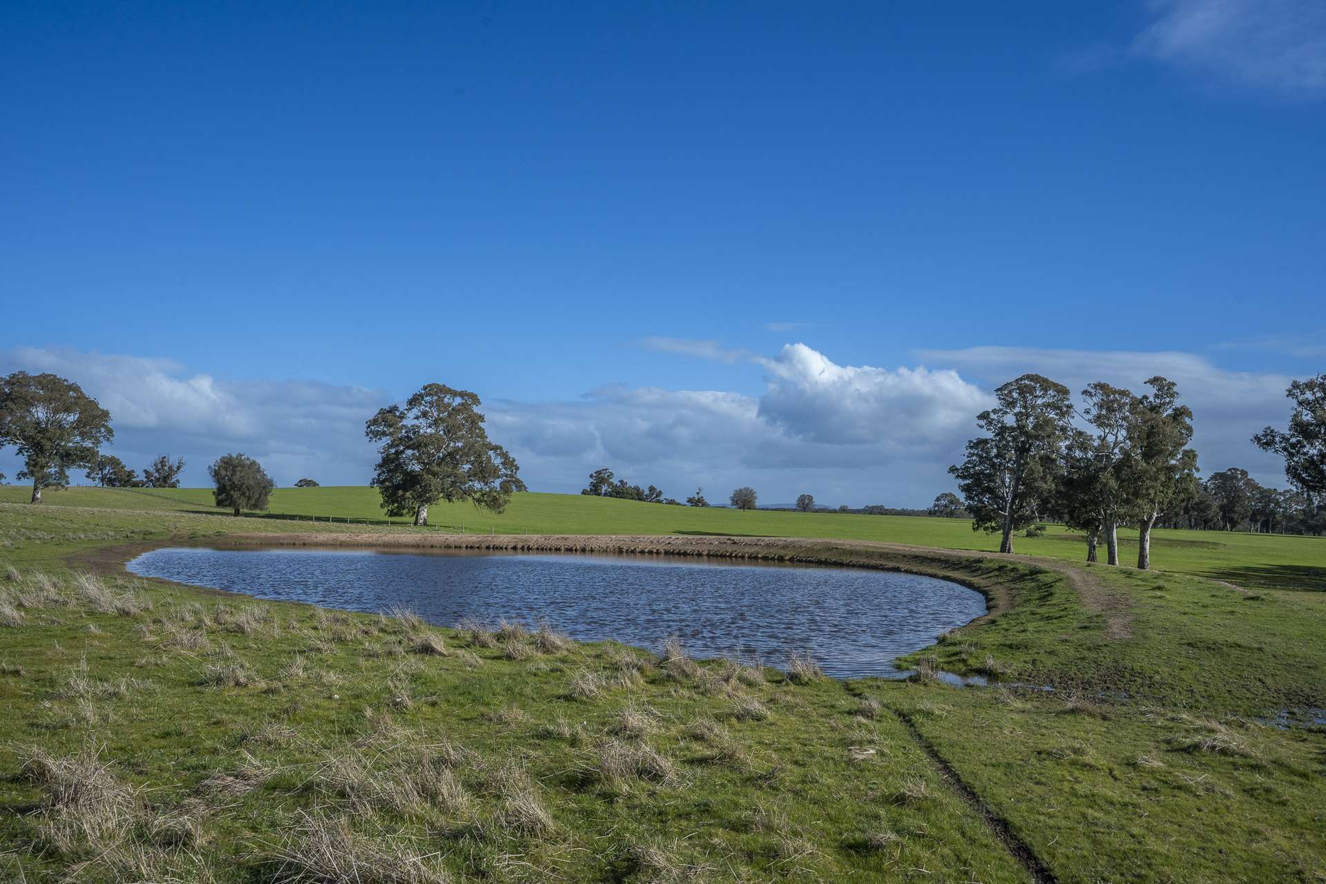 2314 Cavendish-Glendinning Road, Rocklands For Sale by Farmbuy.com - image 22