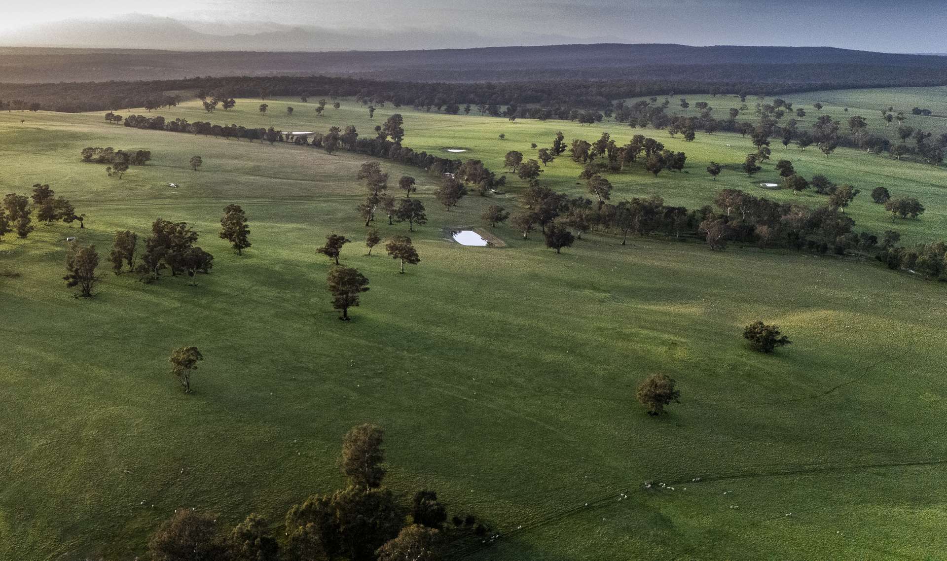 2314 Cavendish-Glendinning Road, Rocklands For Sale by Farmbuy.com - image 29