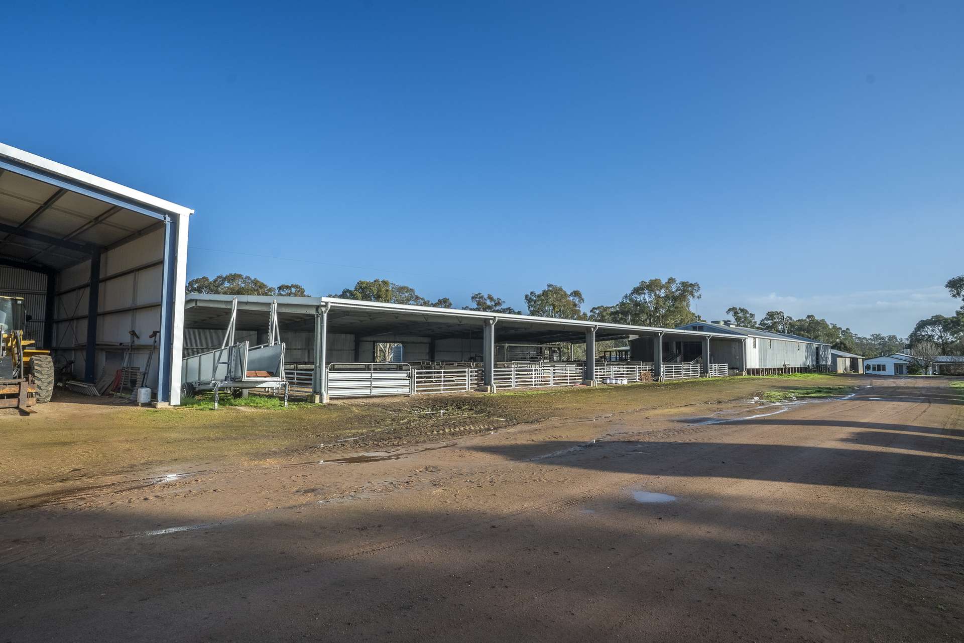 2314 Cavendish-Glendinning Road, Rocklands For Sale by Farmbuy.com - image 9
