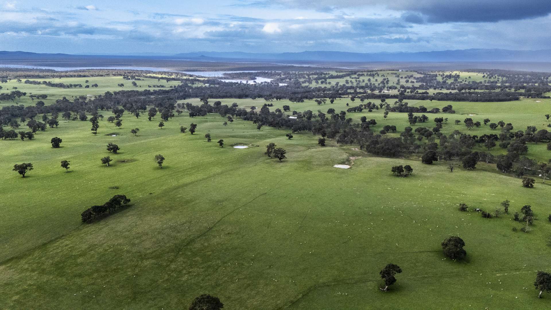 2314 Cavendish-Glendinning Road, Rocklands For Sale by Farmbuy.com - image 26