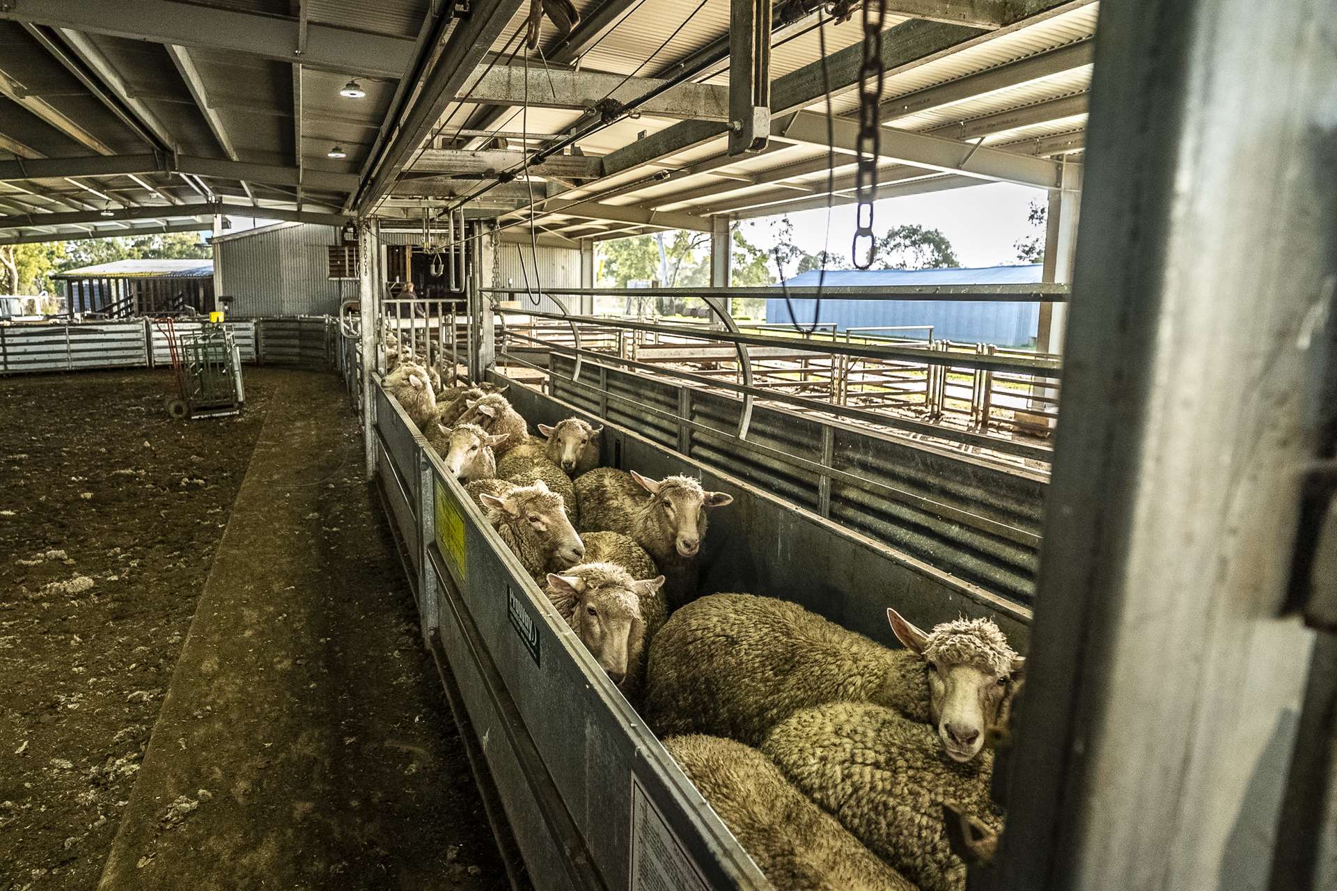 2314 Cavendish-Glendinning Road, Rocklands For Sale by Farmbuy.com - image 19