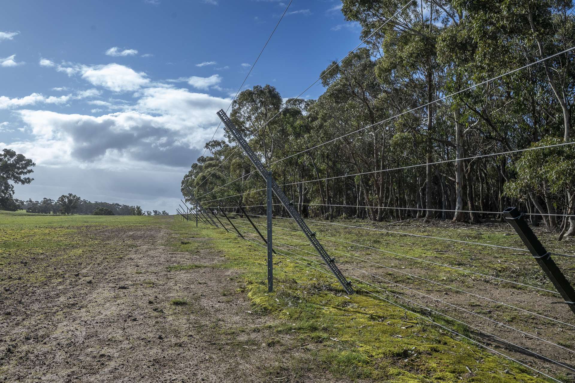 2314 Cavendish-Glendinning Road, Rocklands For Sale by Farmbuy.com - image 19