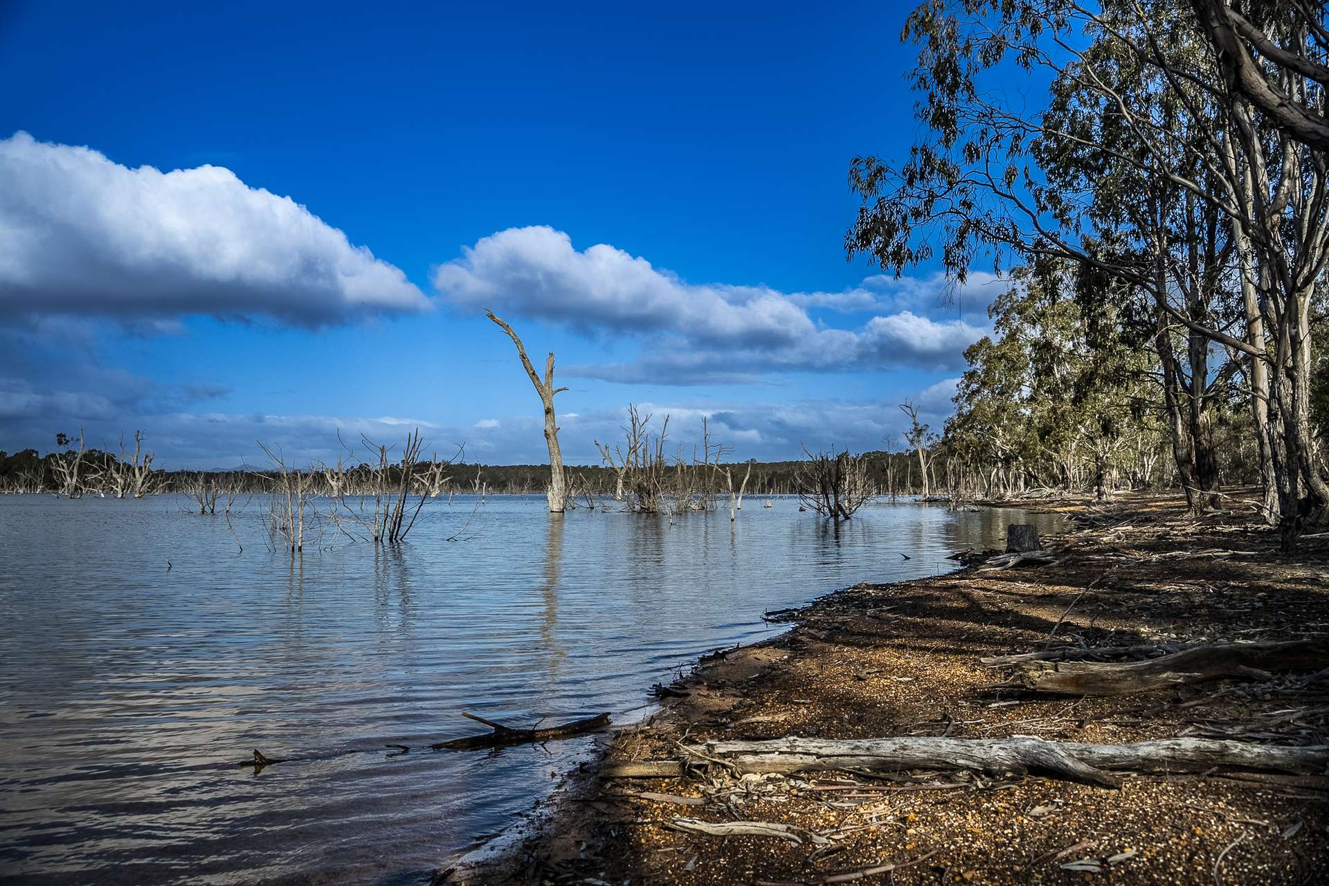 2314 Cavendish-Glendinning Road, Rocklands For Sale by Farmbuy.com - image 30