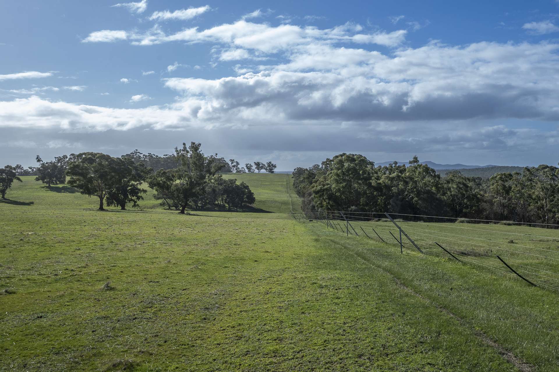 2314 Cavendish-Glendinning Road, Rocklands For Sale by Farmbuy.com - image 20