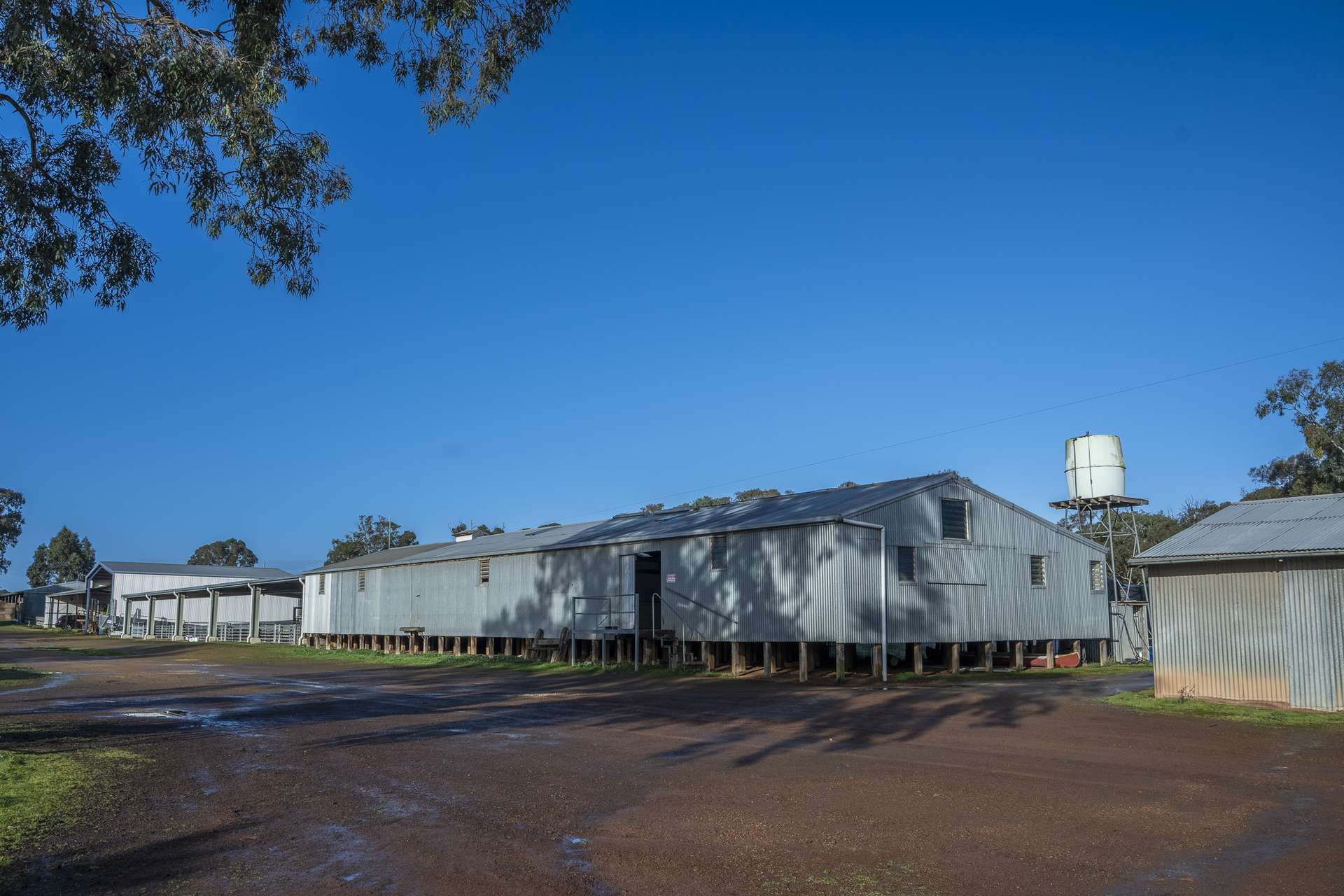 2314 Cavendish-Glendinning Road, Rocklands For Sale by Farmbuy.com - image 5
