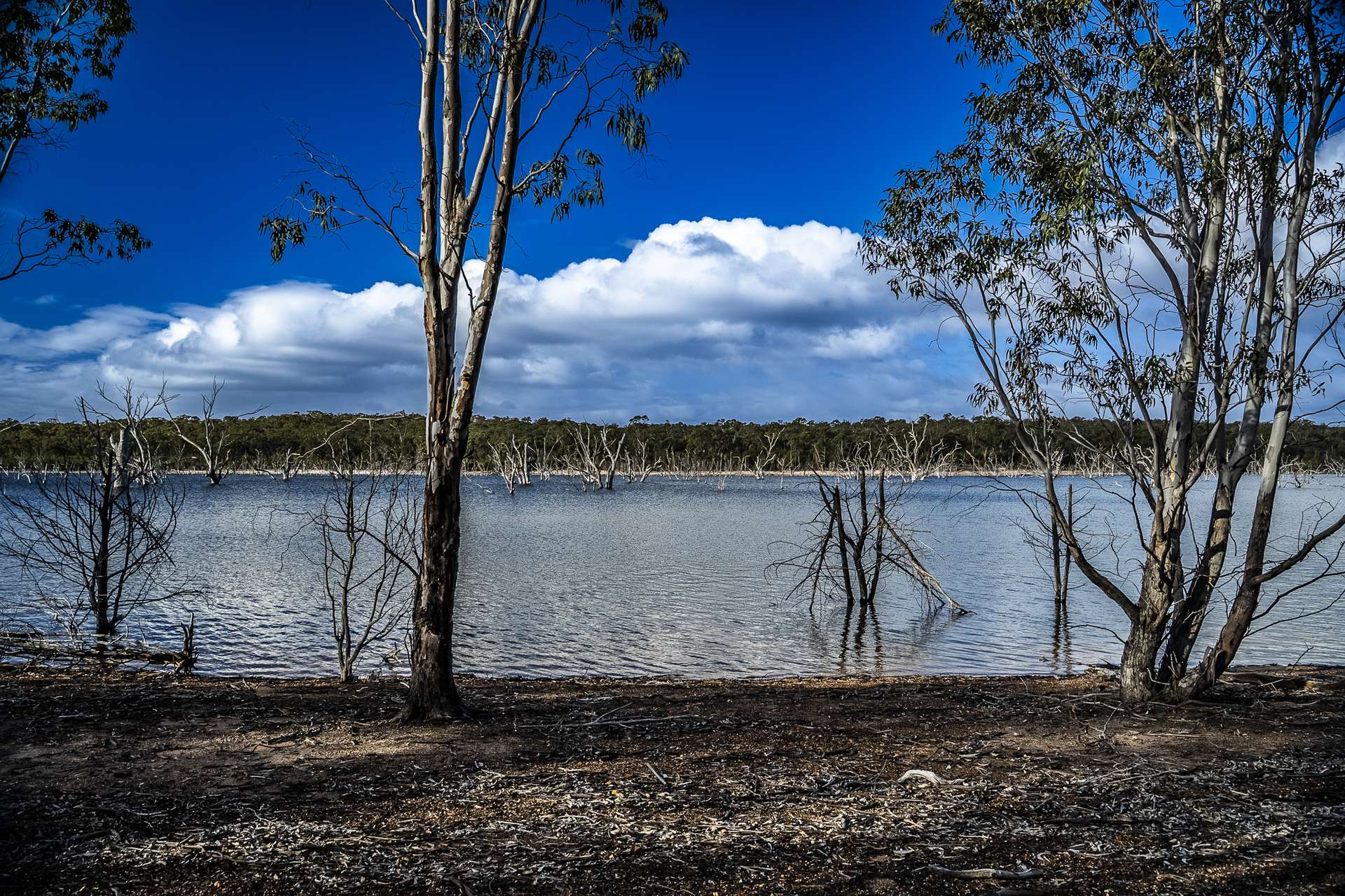 2314 Cavendish-Glendinning Road, Rocklands For Sale by Farmbuy.com - image 23