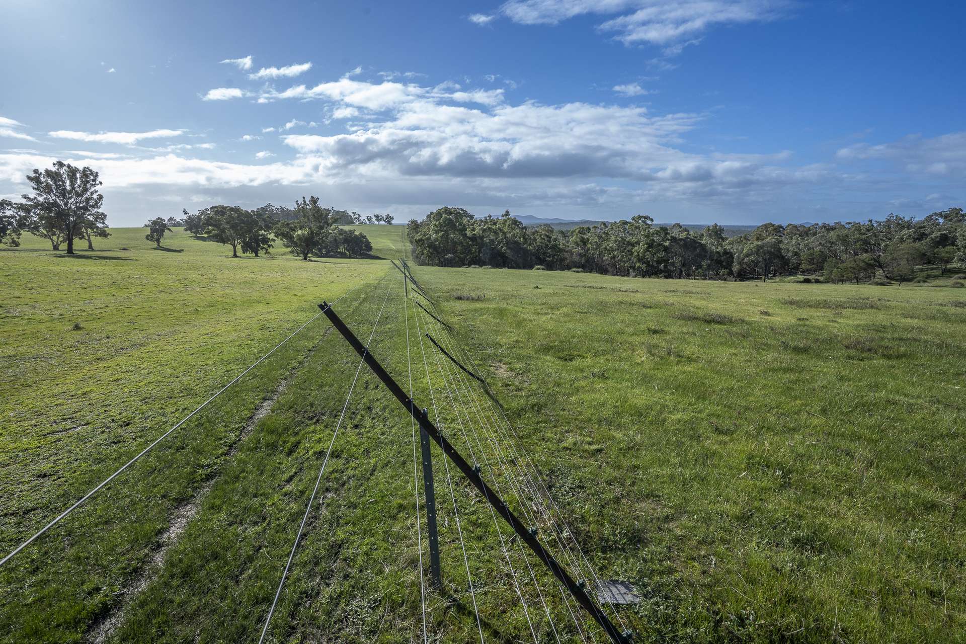 2314 Cavendish-Glendinning Road, Rocklands For Sale by Farmbuy.com - image 18