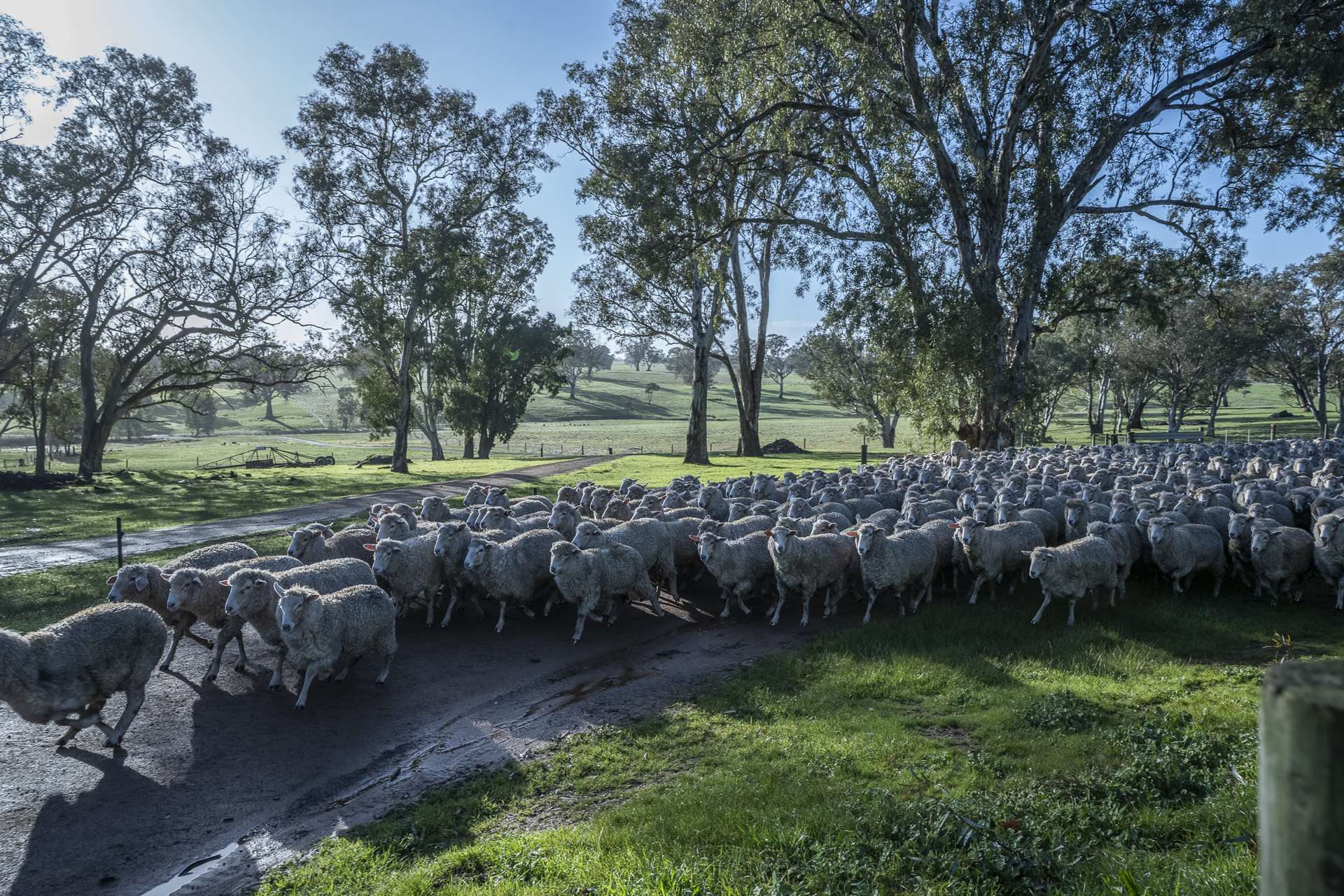 2314 Cavendish-Glendinning Road, Rocklands For Sale by Farmbuy.com - image 16