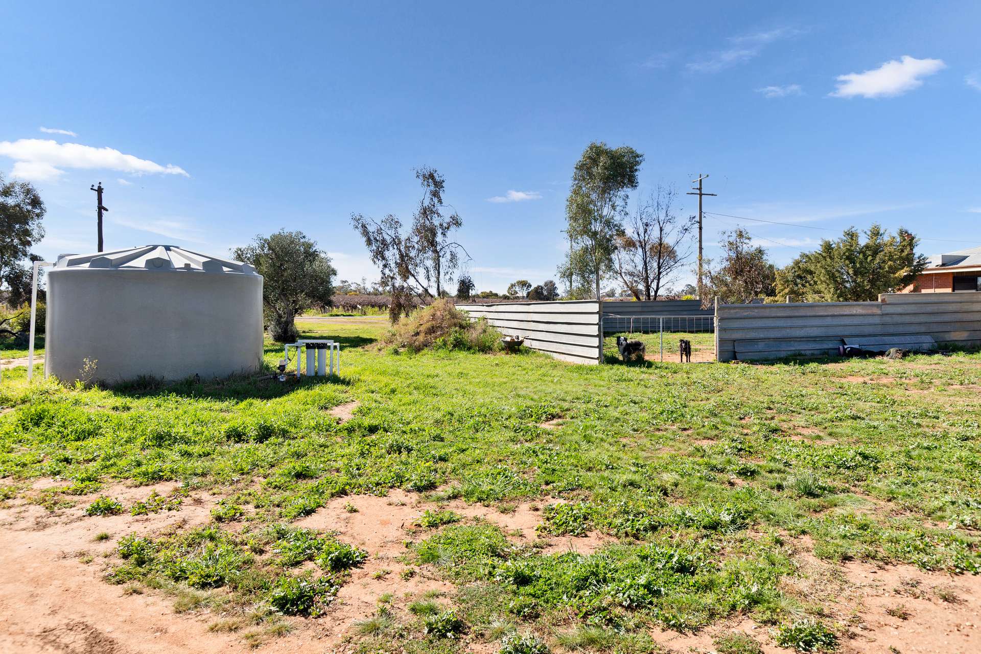 152 Boomerang Avenue, Irymple For Sale by Farmbuy.com - image 31