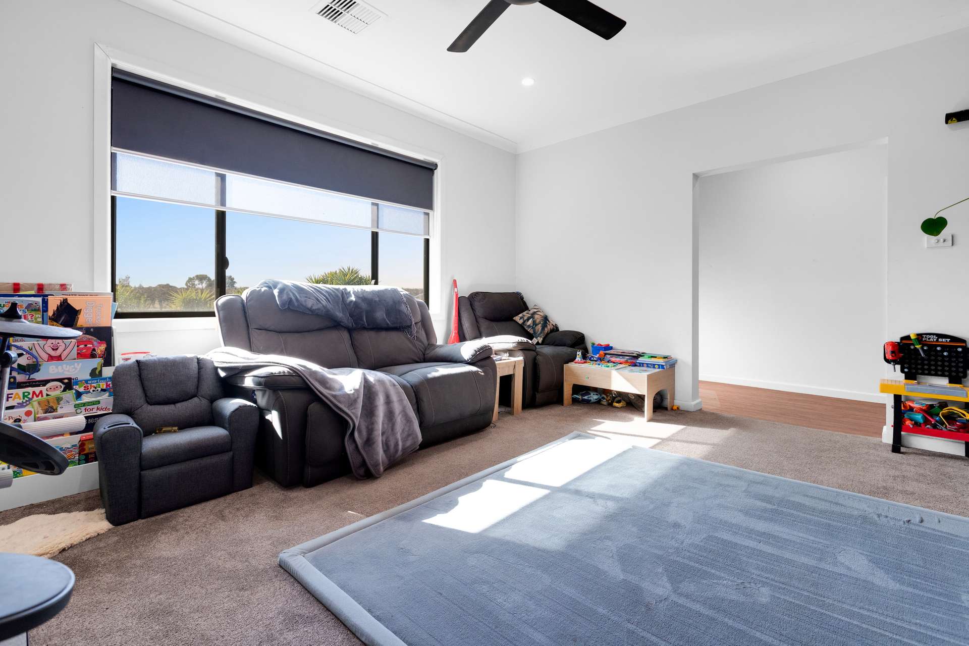 152 Boomerang Avenue, Irymple For Sale by Farmbuy.com - image 6