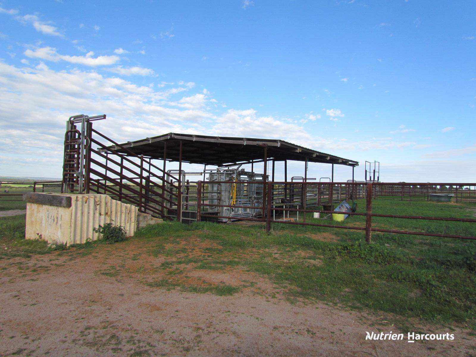 1891 Milo Road, Milo For Sale by Farmbuy.com - image 15