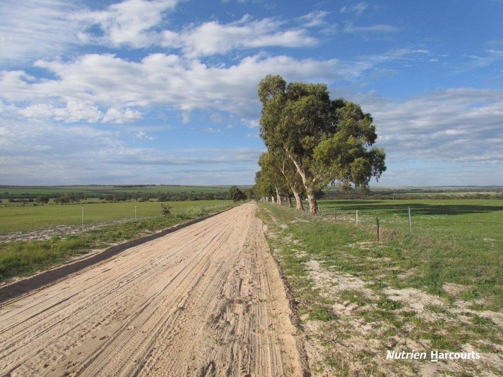 1891 Milo Road, Milo For Sale by Farmbuy.com - image 20