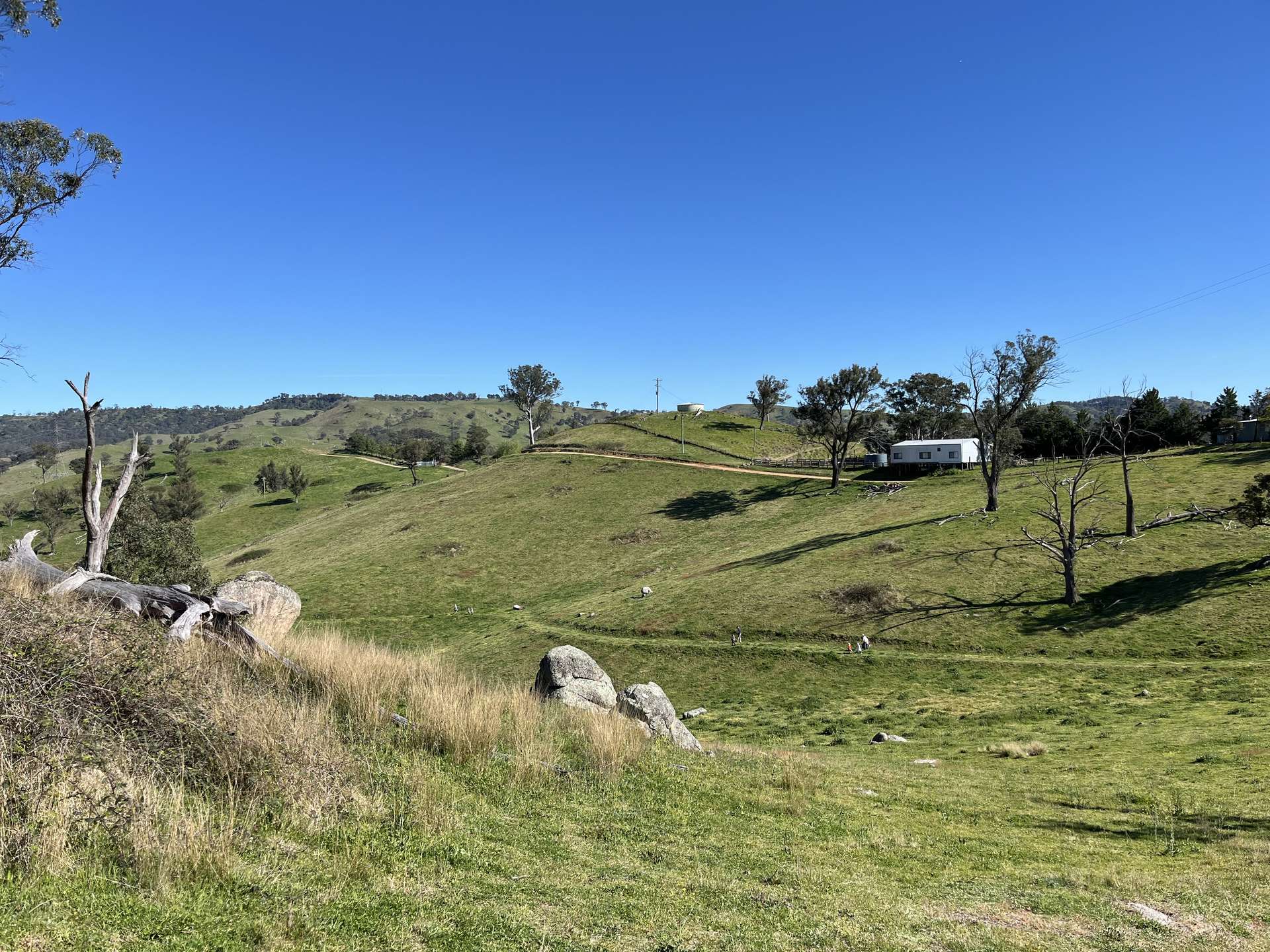 1199 Ganbenang Road, Lowther For Sale by Farmbuy.com - image 5