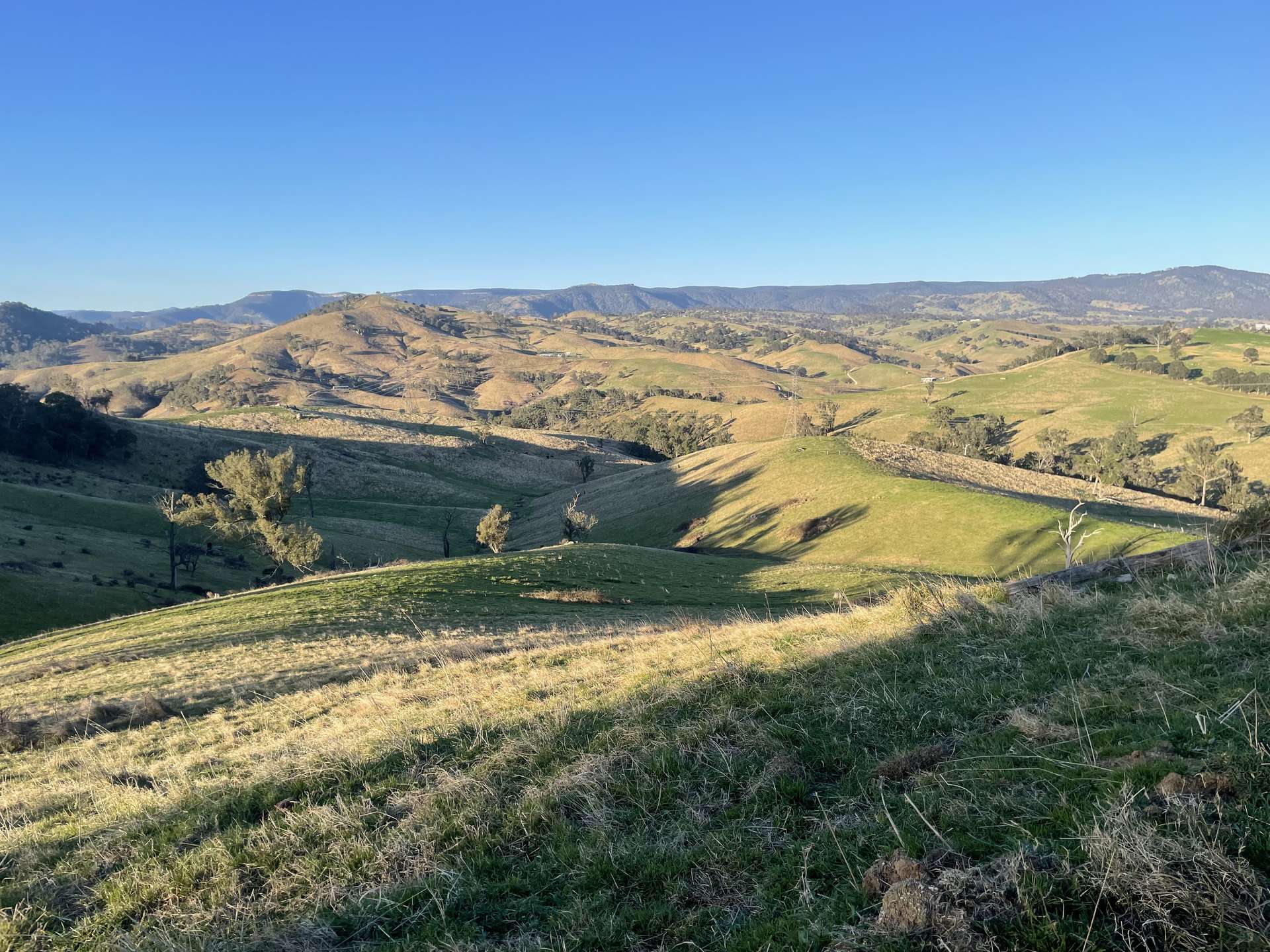 1199 Ganbenang Road, Lowther For Sale by Farmbuy.com - image 4