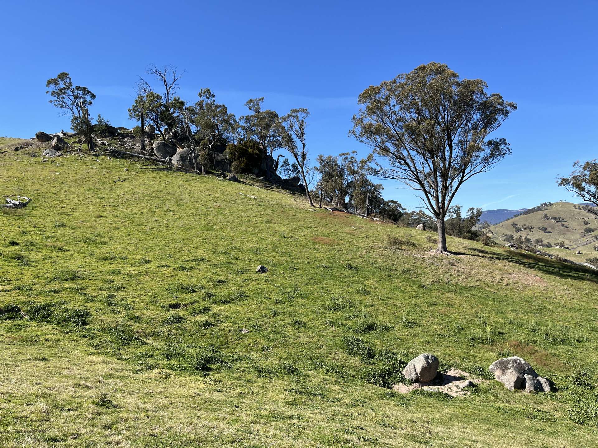 1199 Ganbenang Road, Lowther For Sale by Farmbuy.com - image 6