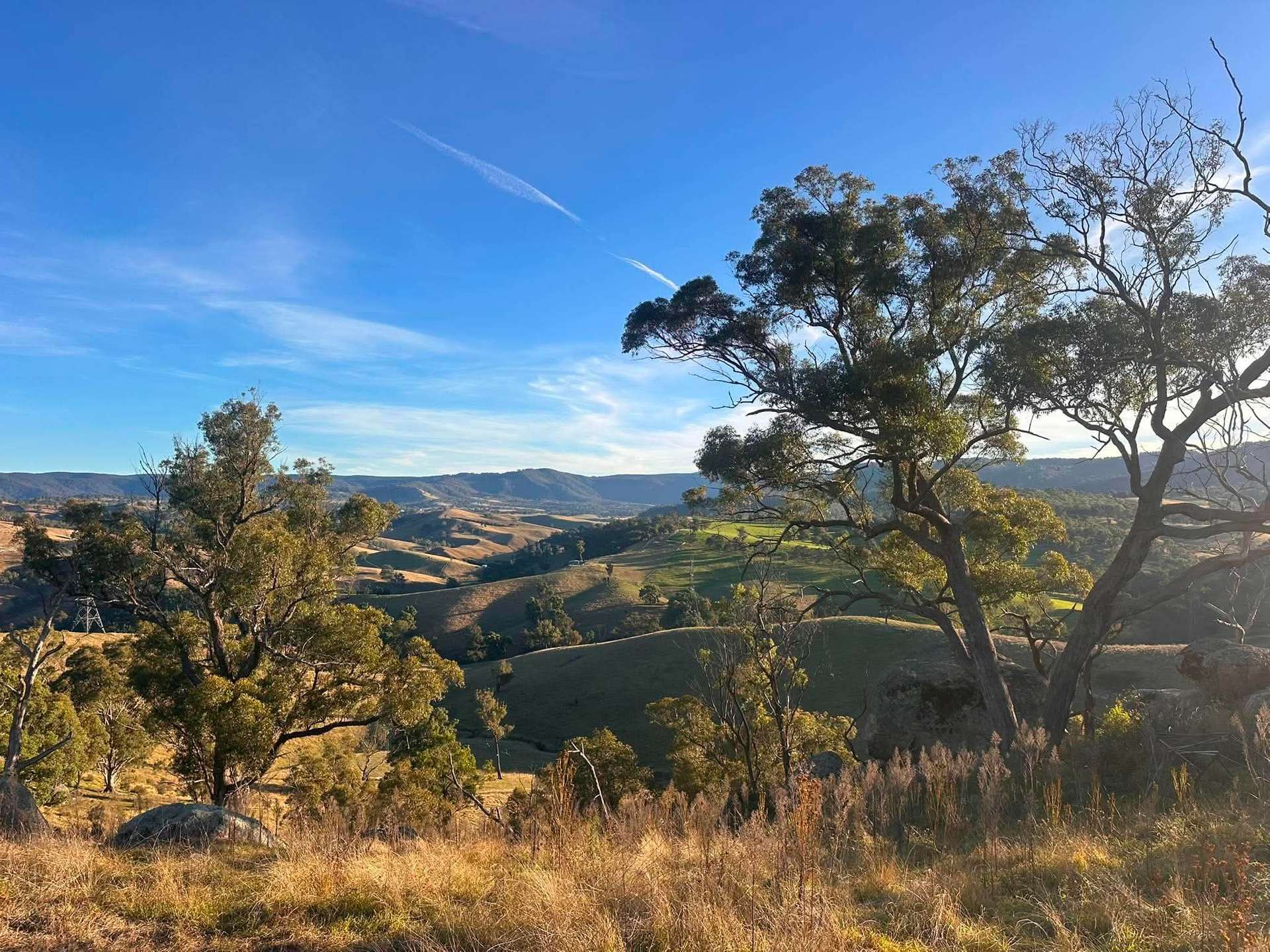 1199 Ganbenang Road, Lowther For Sale by Farmbuy.com - image 7