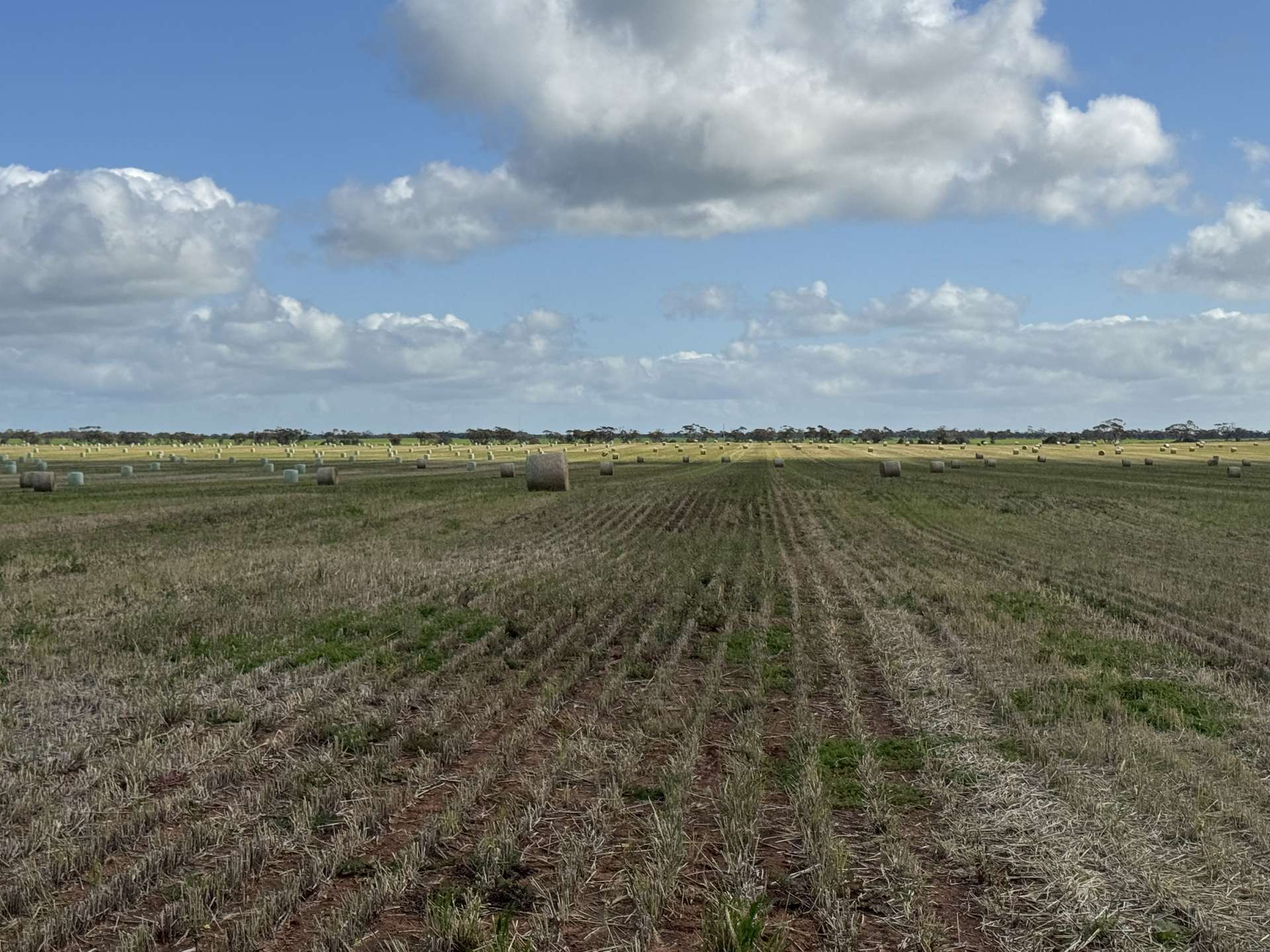 167 Moar Road, Swan Hill For Sale by Farmbuy.com - image 4