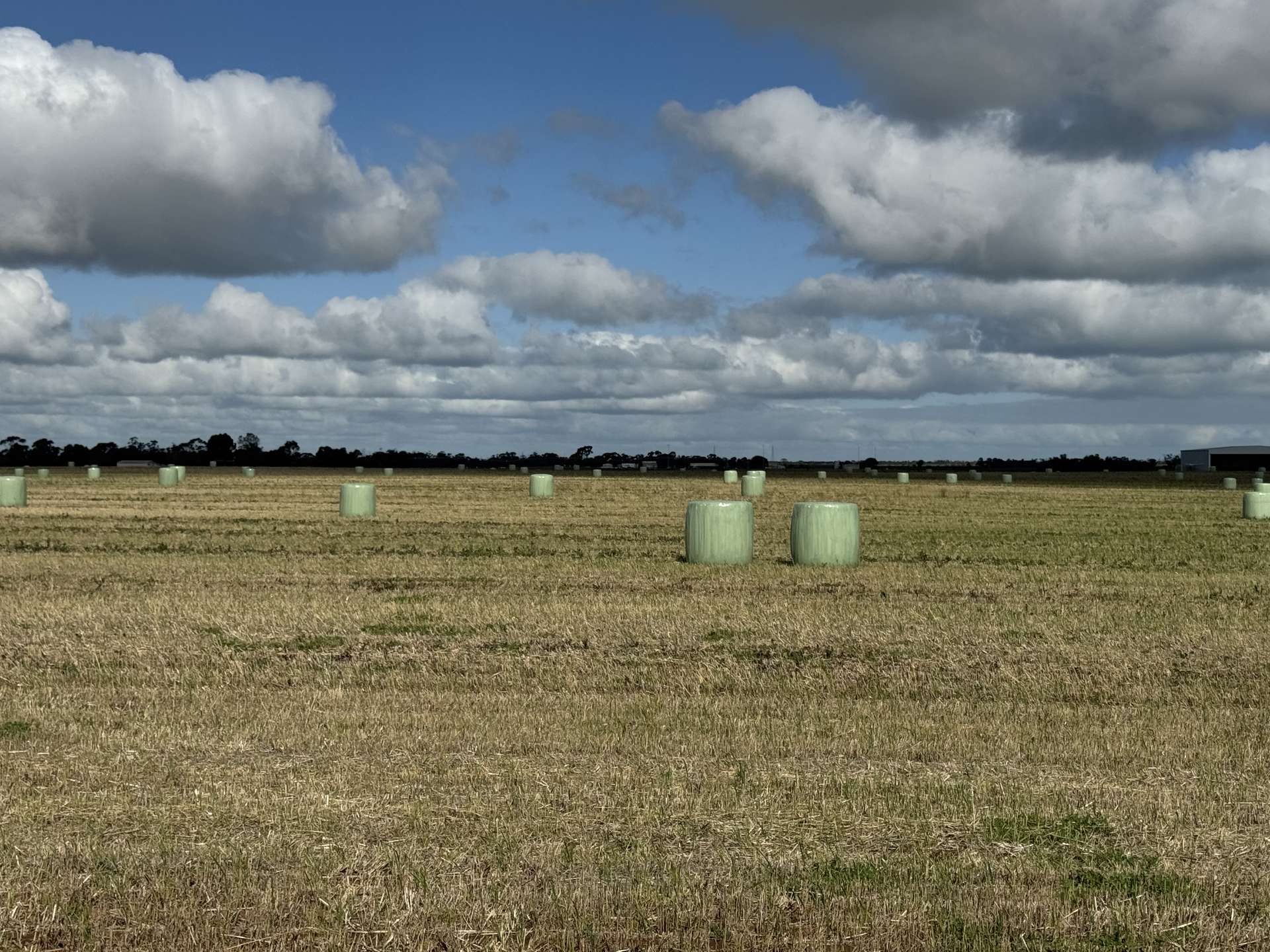 167 Moar Road, Swan Hill For Sale by Farmbuy.com - image 6