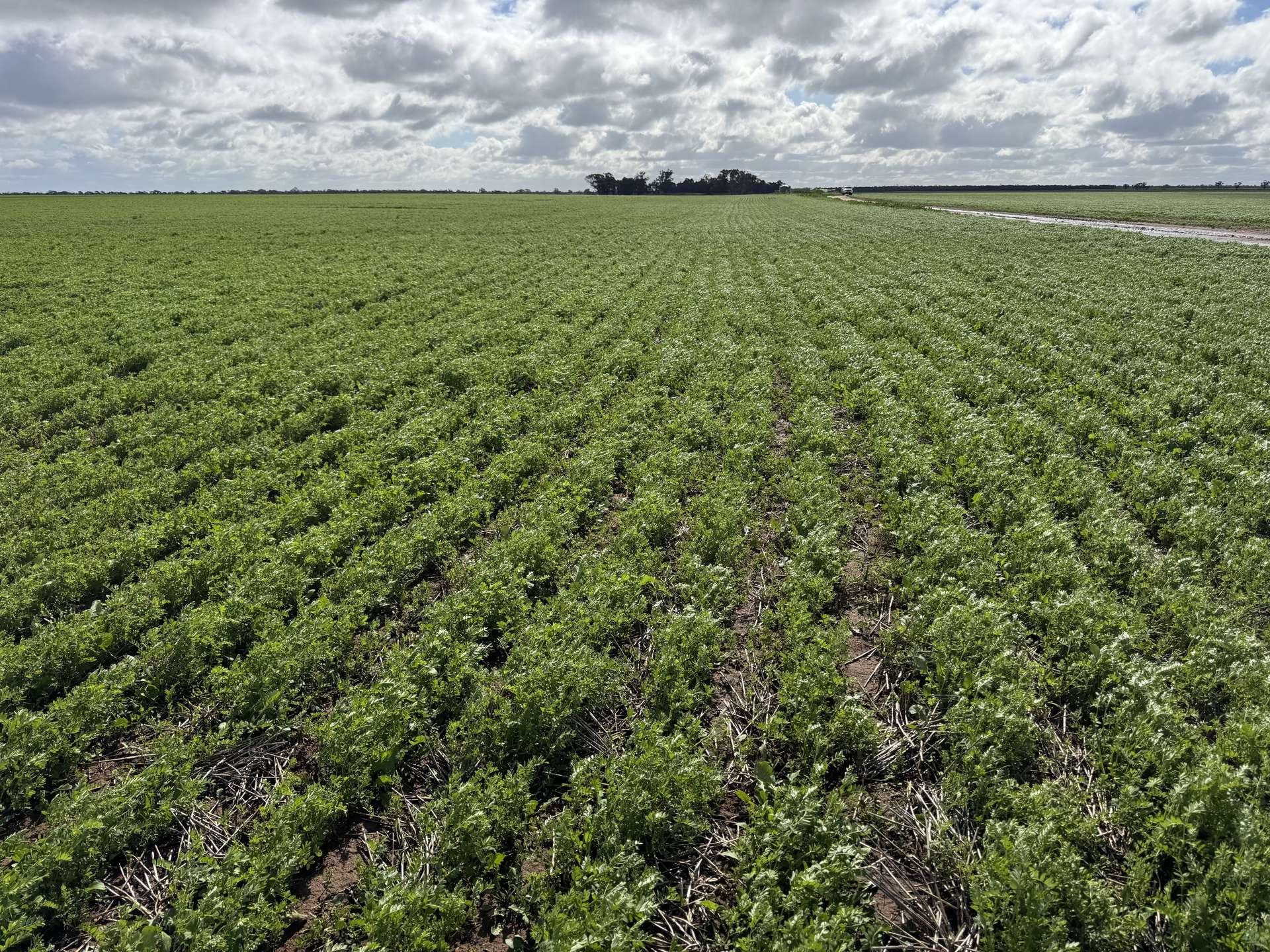 00 Ultima/Culgoa Road, Ultima For Sale by Farmbuy.com - image 2