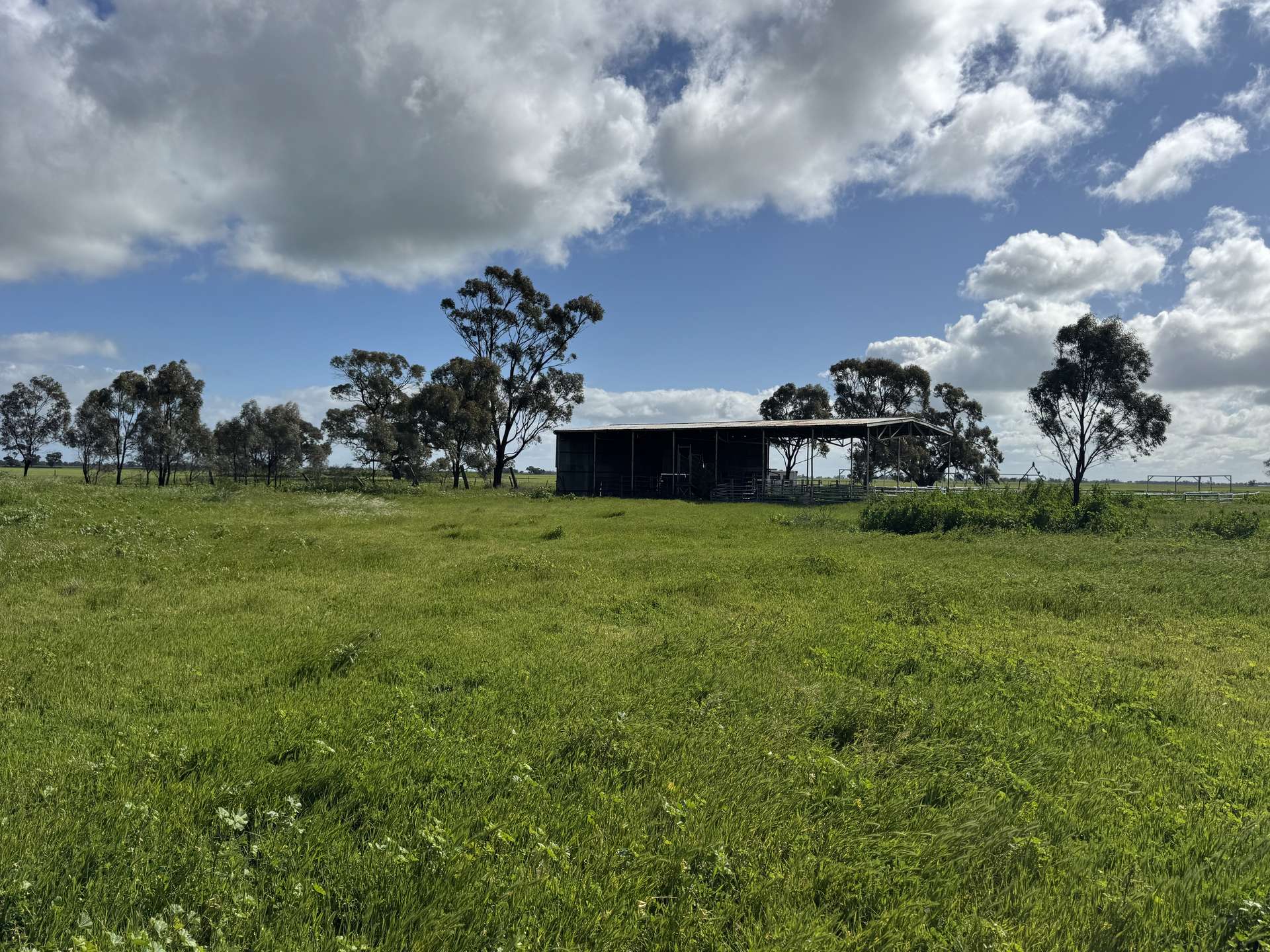 00 Ultima/Culgoa Road, Ultima For Sale by Farmbuy.com - image 3