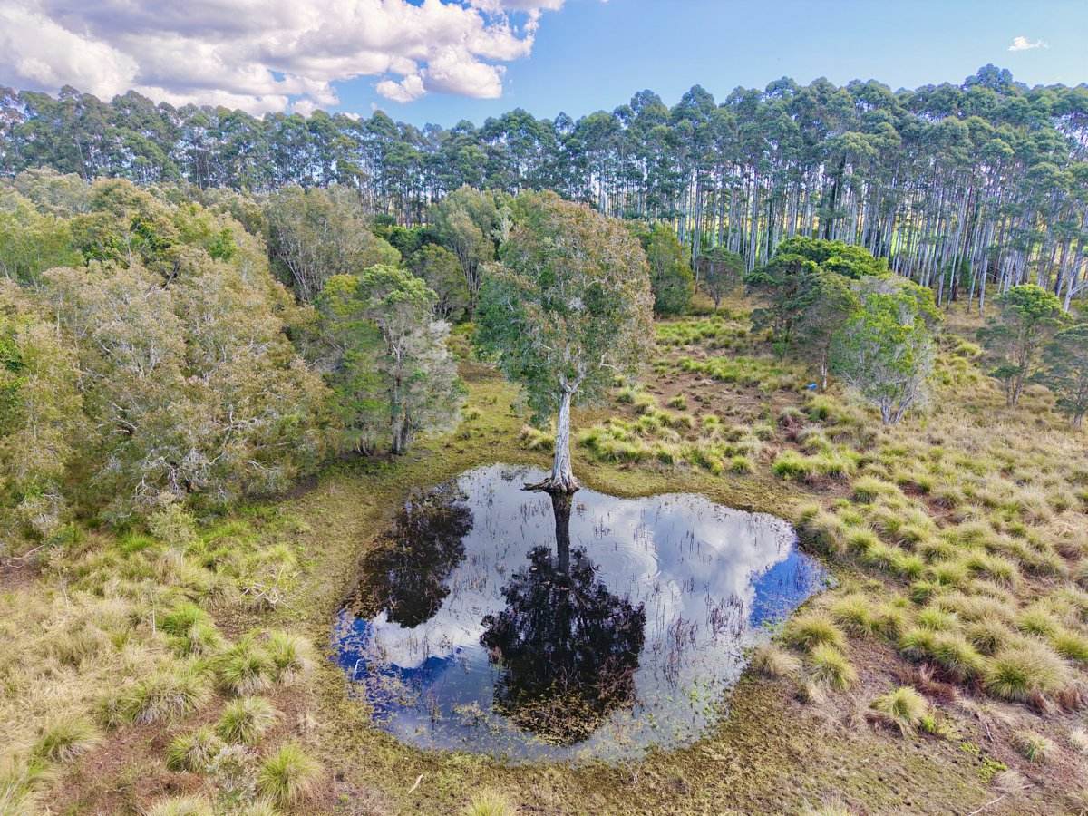 43 Redbank Road, Pampoolah For Sale by Farmbuy.com - image 5