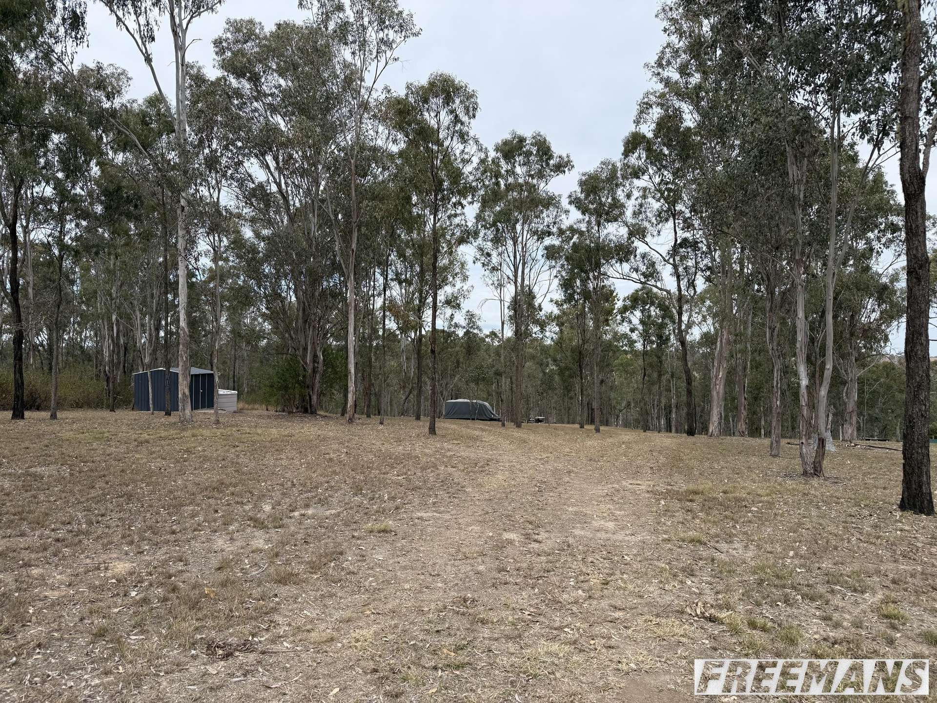 Lot 23,  Thompsons Road, Runnymede For Sale by Farmbuy.com - image 10