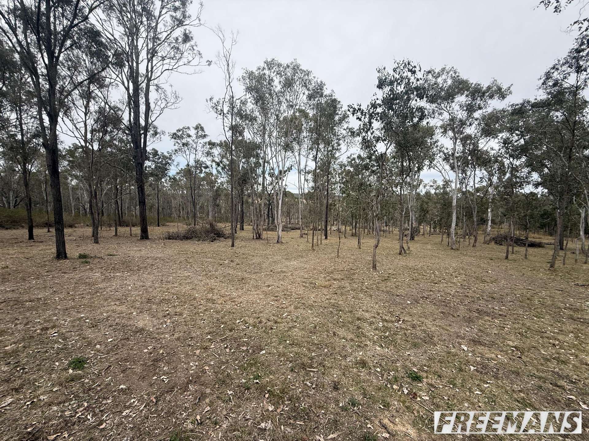 Lot 23,  Thompsons Road, Runnymede For Sale by Farmbuy.com - image 8