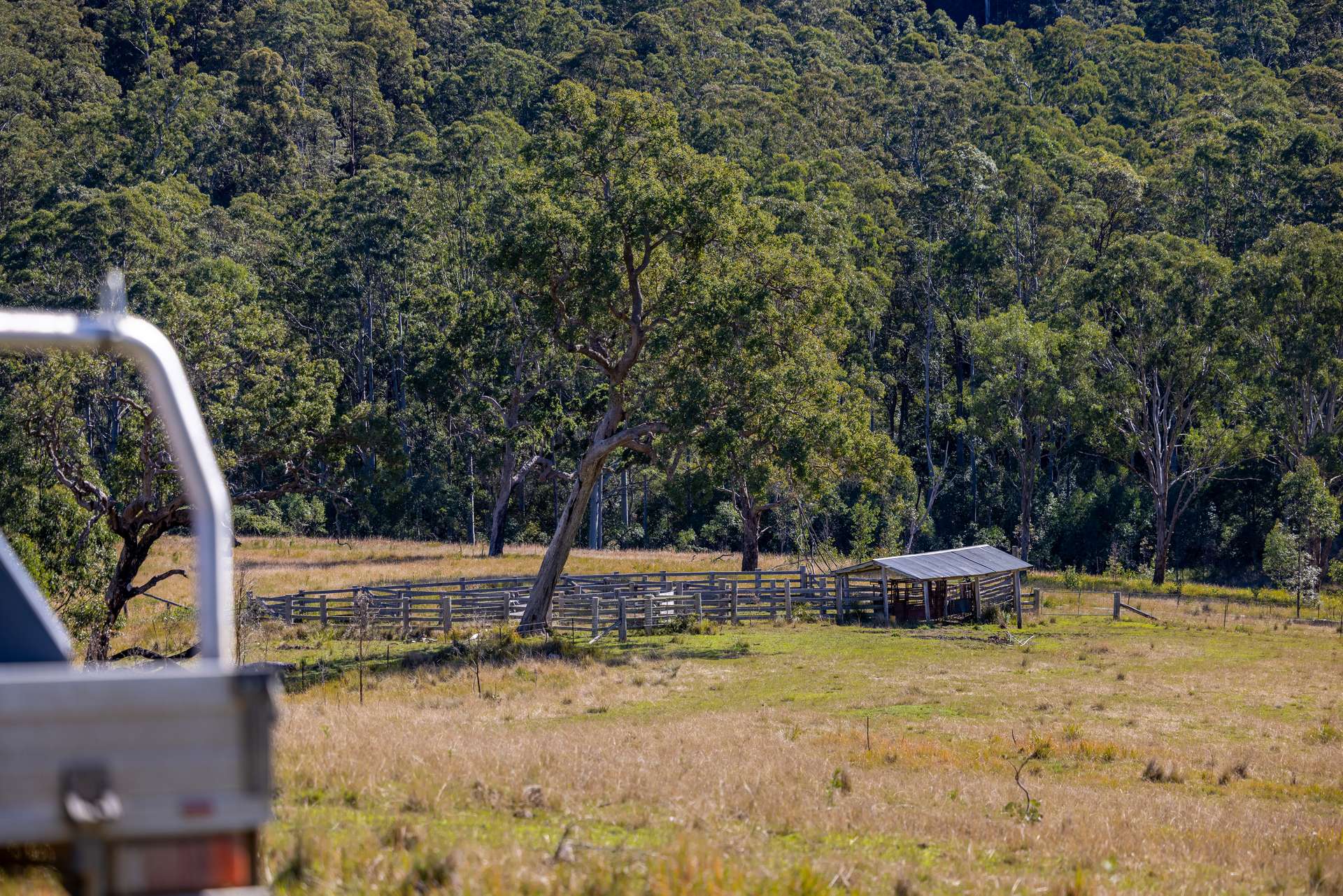 'The Oaks Estate' Lots 34, 35, 45, 61 Cells Road, Cells River Auction by Farmbuy.com - image 7