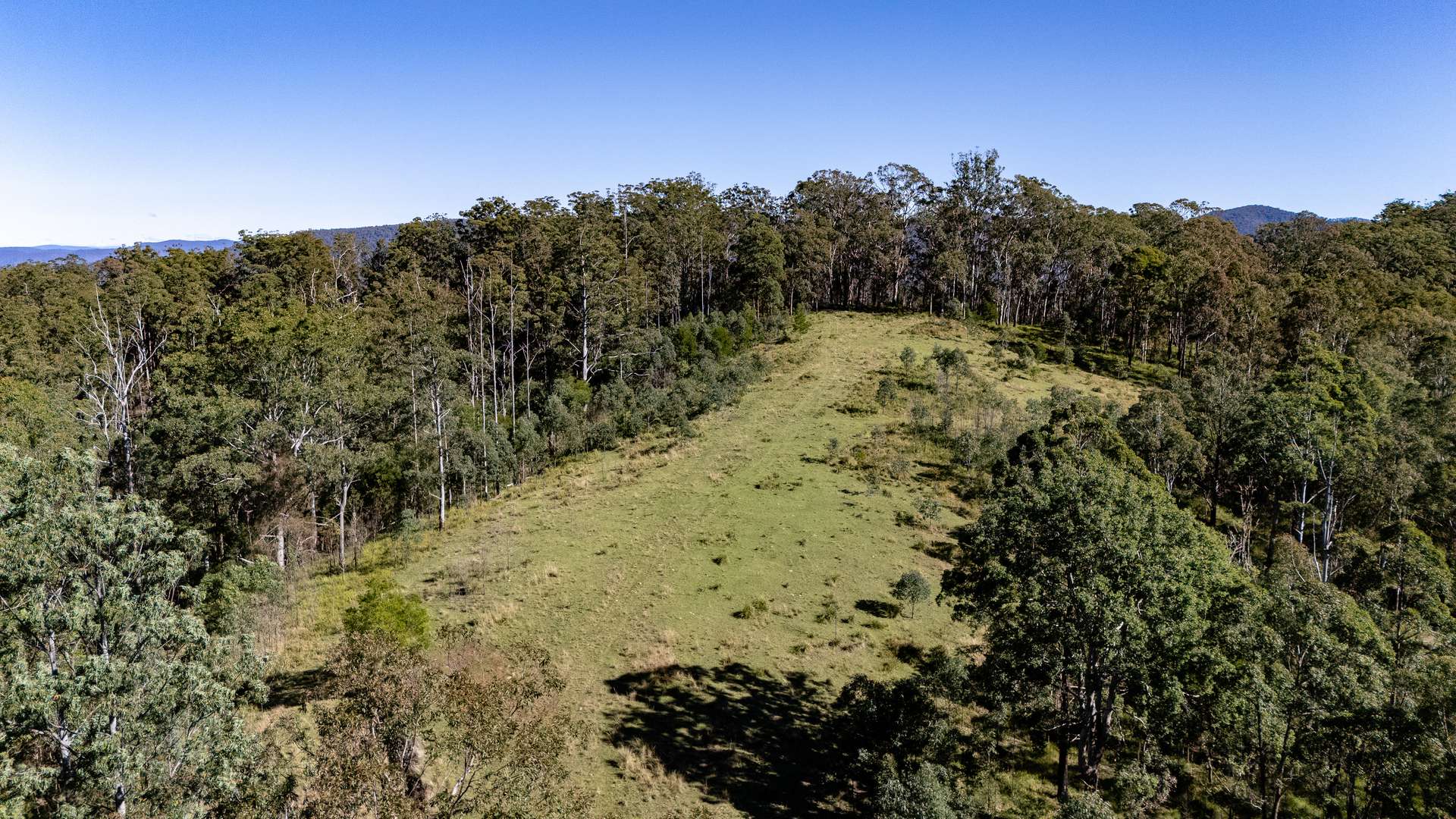 'The Oaks Estate' Lots 34, 35, 45, 61 Cells Road, Cells River Auction by Farmbuy.com - image 11