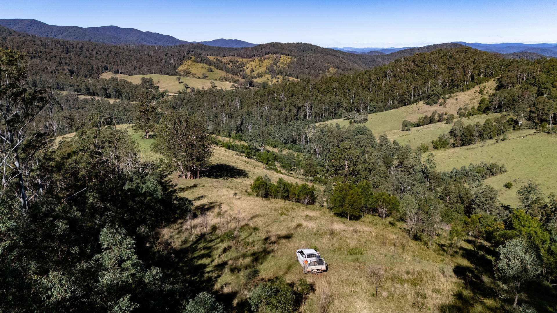 'The Oaks Estate' Lots 34, 35, 45, 61 Cells Road, Cells River Auction by Farmbuy.com - image 8