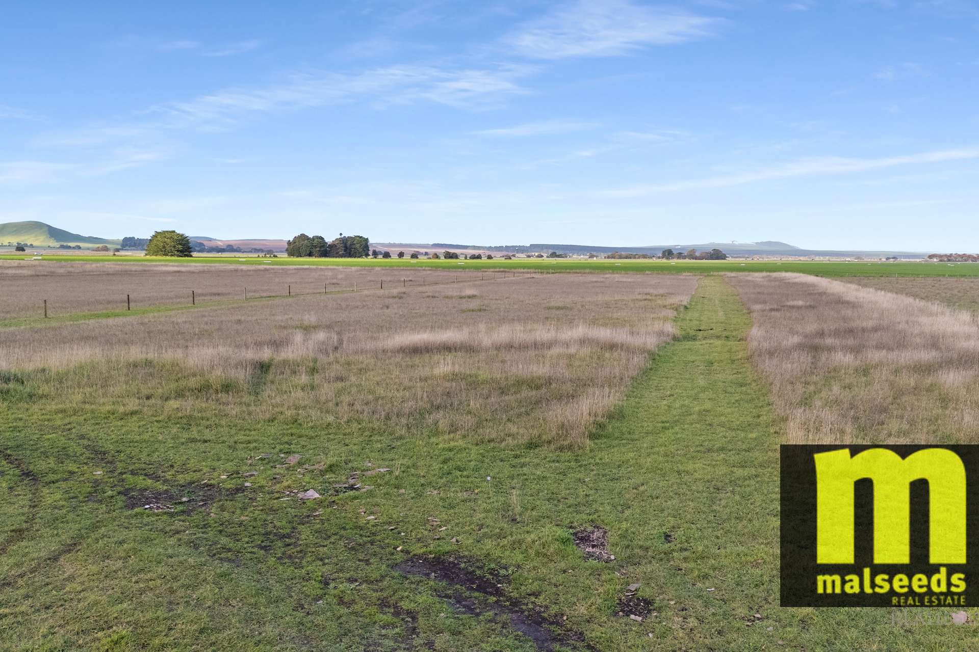 29765 Princes Highway, Millicent For Sale by Farmbuy.com - image 19