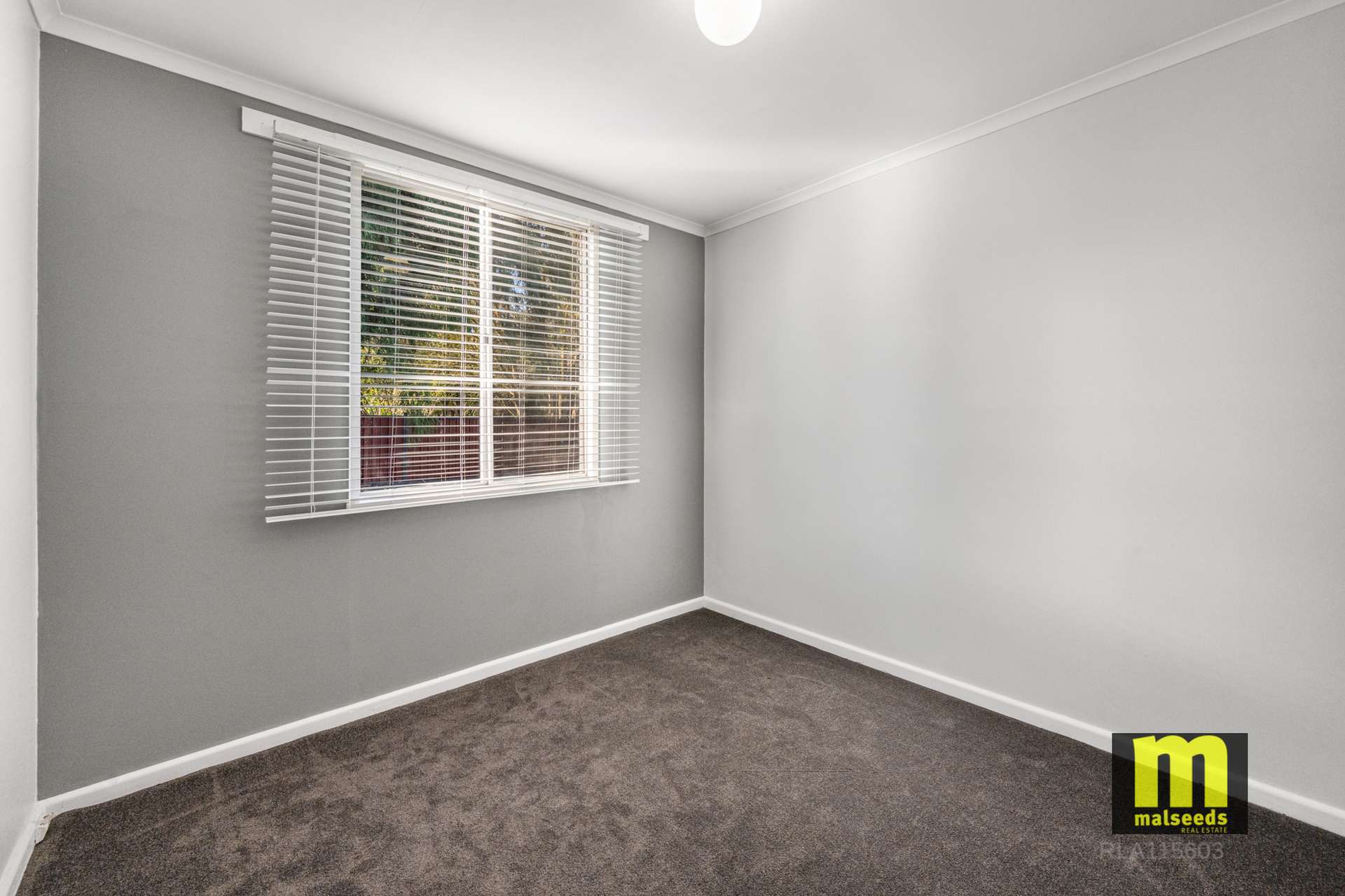 29765 Princes Highway, Millicent For Sale by Farmbuy.com - image 11