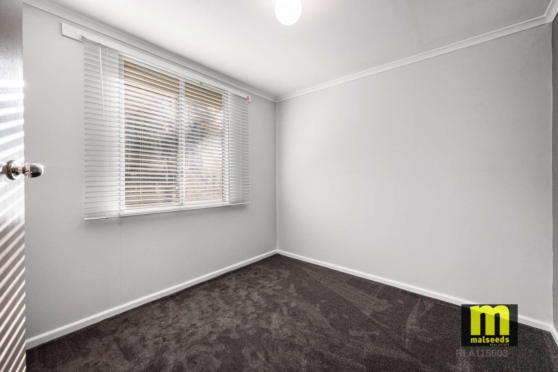 29765 Princes Highway, Millicent For Sale by Farmbuy.com - image 12