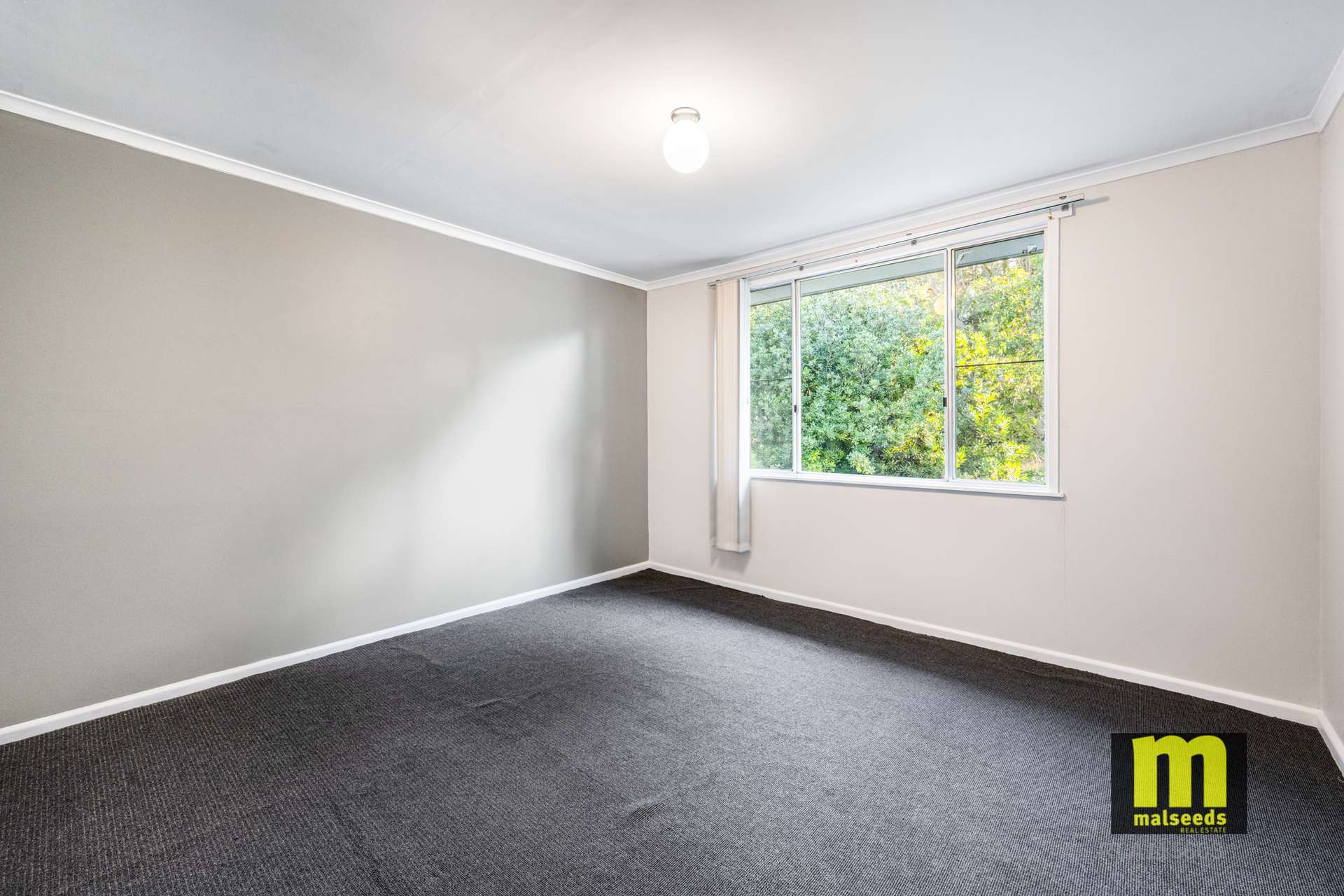 29765 Princes Highway, Millicent For Sale by Farmbuy.com - image 13