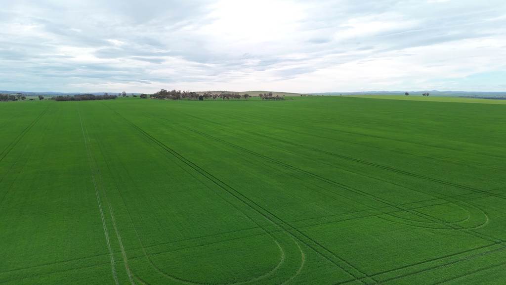 'Hillview' Wilkins Highway, Gladstone SA 5473