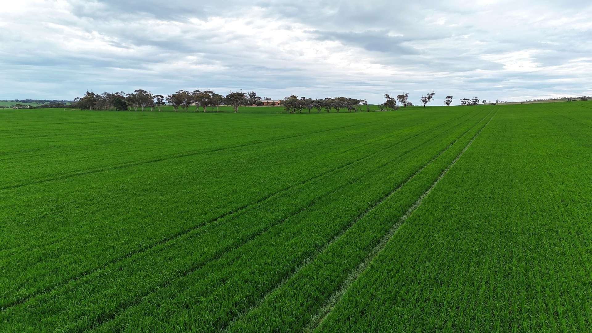 'Hillview' Wilkins Highway, Gladstone For Sale by Farmbuy.com - image 2