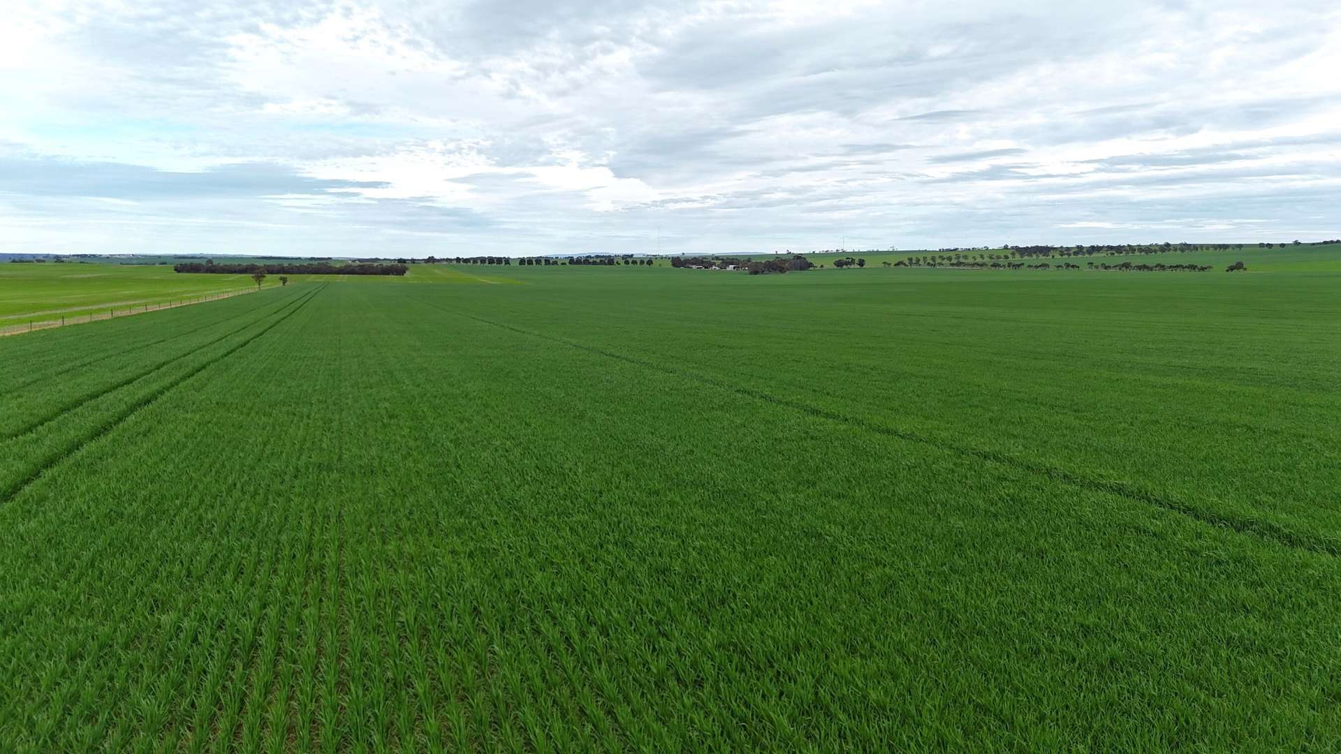 'Hillview' Wilkins Highway, Gladstone For Sale by Farmbuy.com - image 3