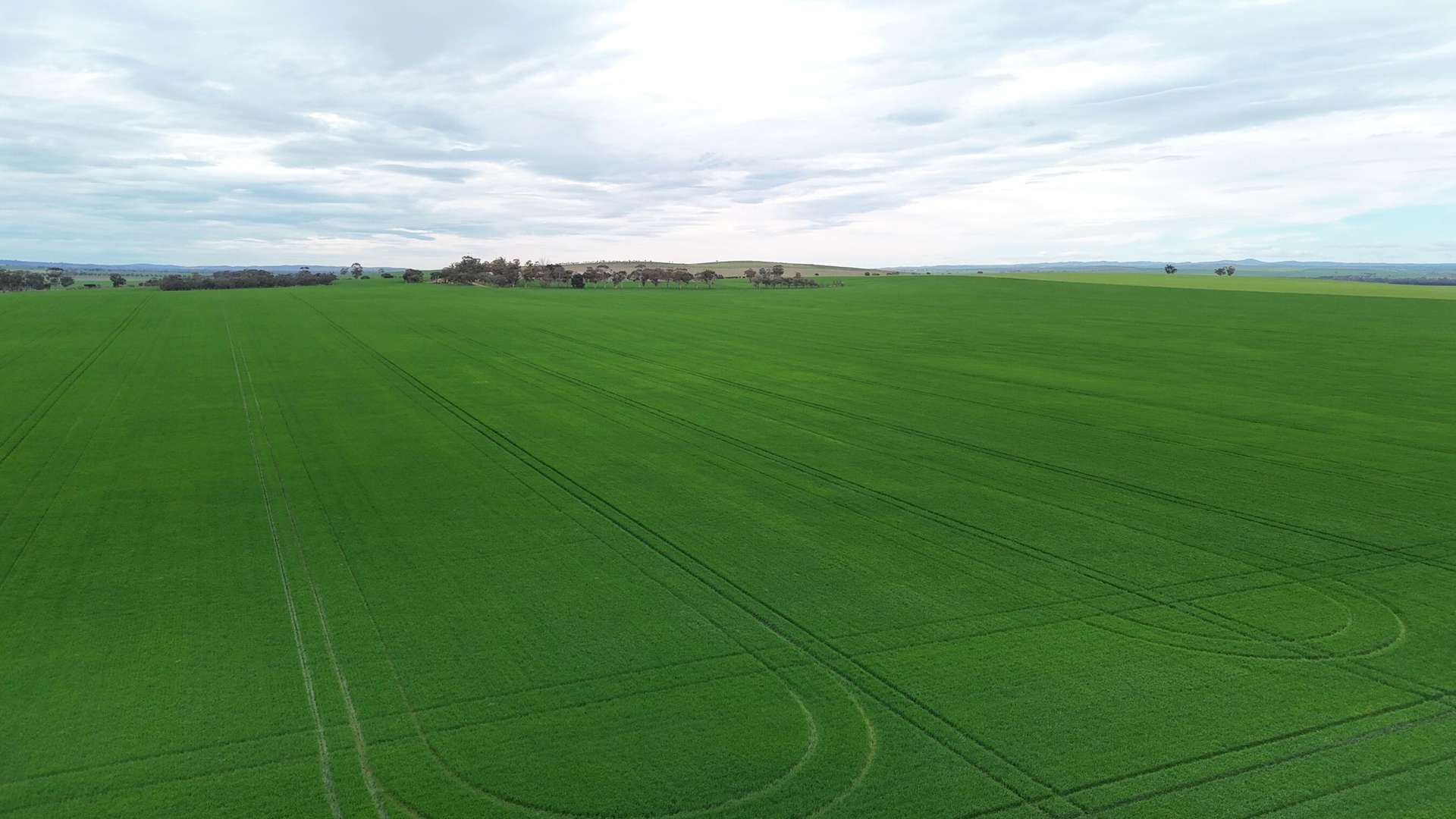 'Hillview' Wilkins Highway, Gladstone For Sale by Farmbuy.com - image 1