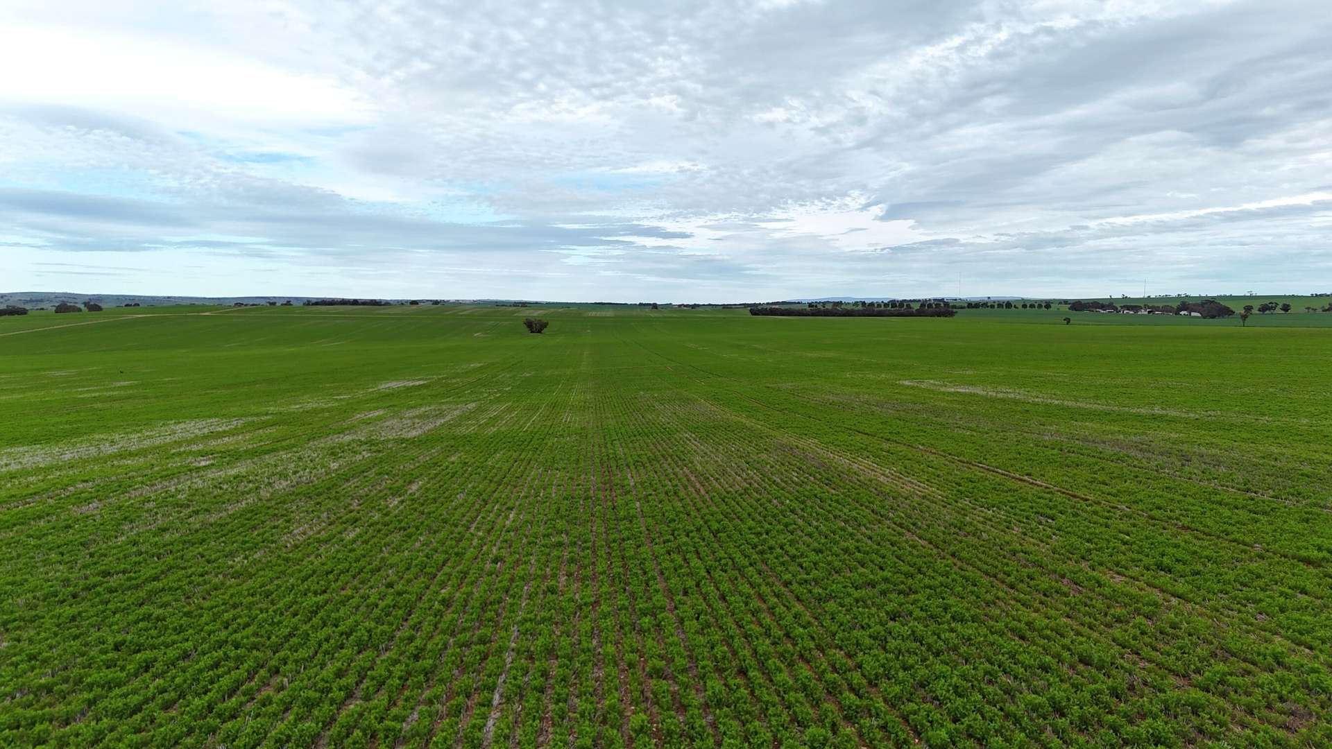 'Hillview' Wilkins Highway, Gladstone For Sale by Farmbuy.com - image 5
