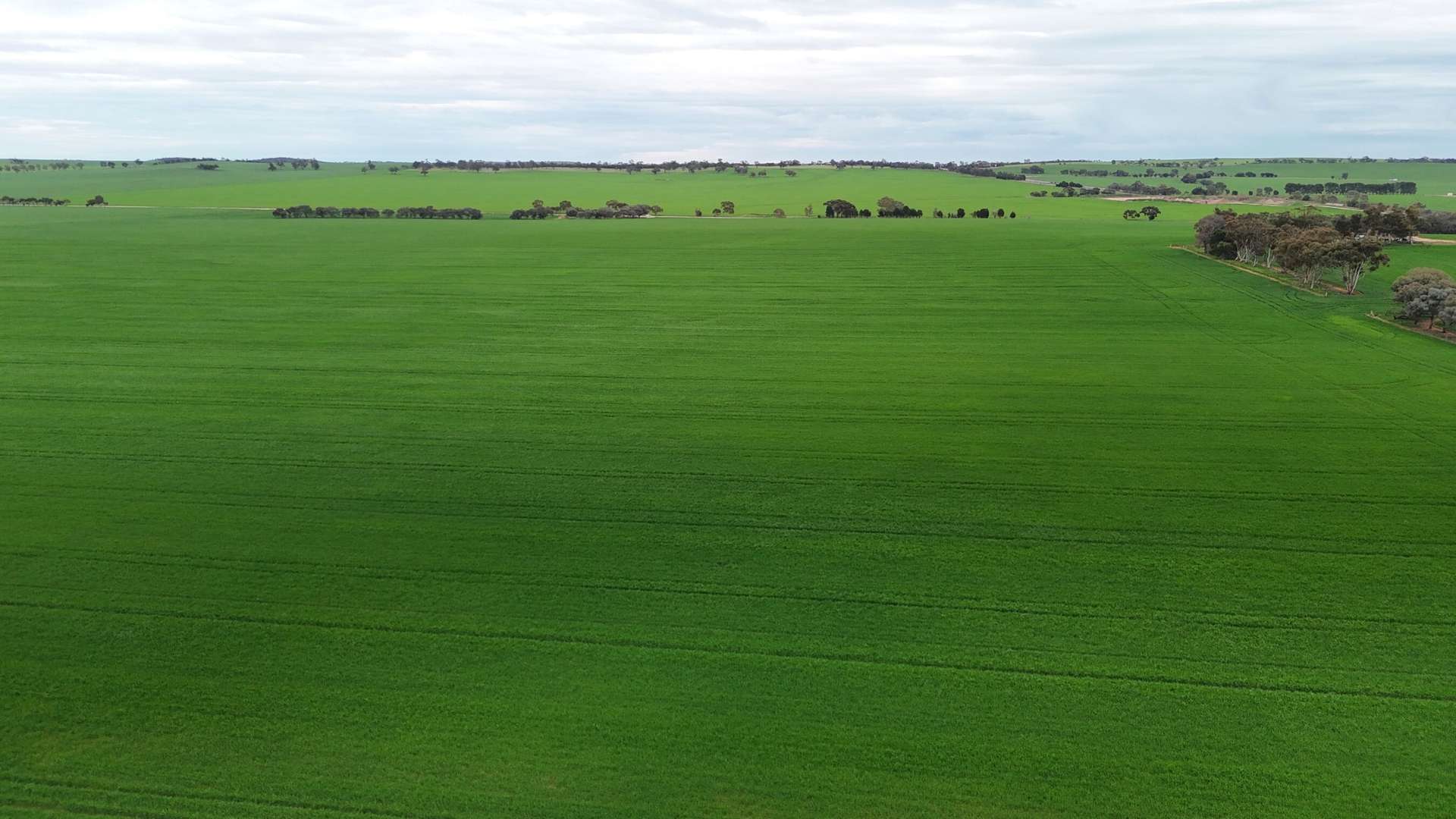 'Hillview' Wilkins Highway, Gladstone For Sale by Farmbuy.com - image 7
