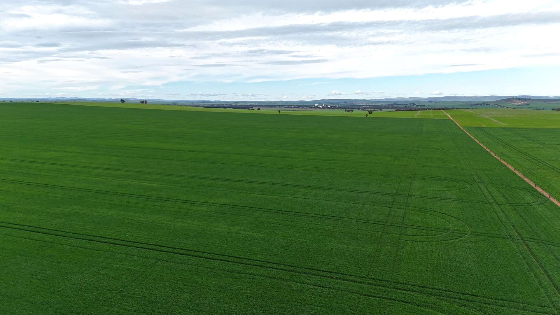 'Hillview' Wilkins Highway, Gladstone For Sale by Farmbuy.com - image 8