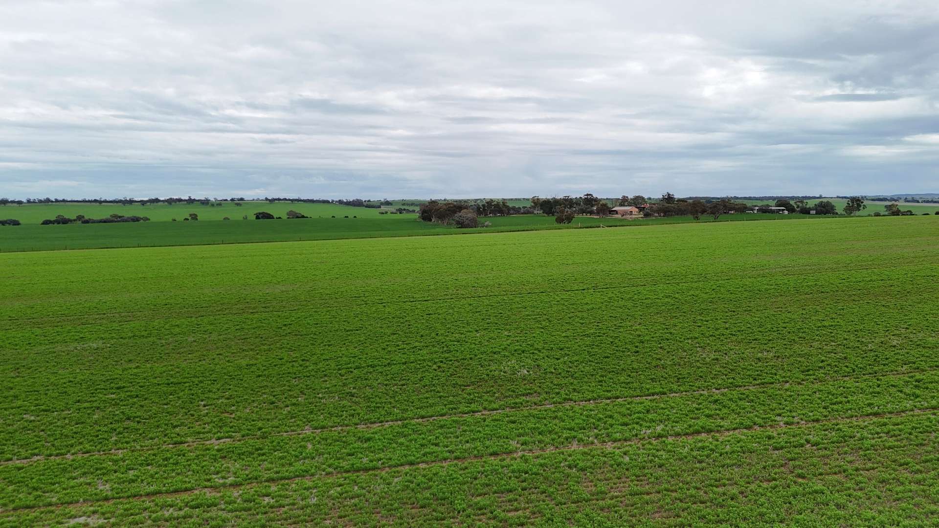 'Hillview' Wilkins Highway, Gladstone For Sale by Farmbuy.com - image 6