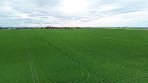 Farm For Sale - SA - Gladstone - 5473 - Quality Mid North Cropping Land 