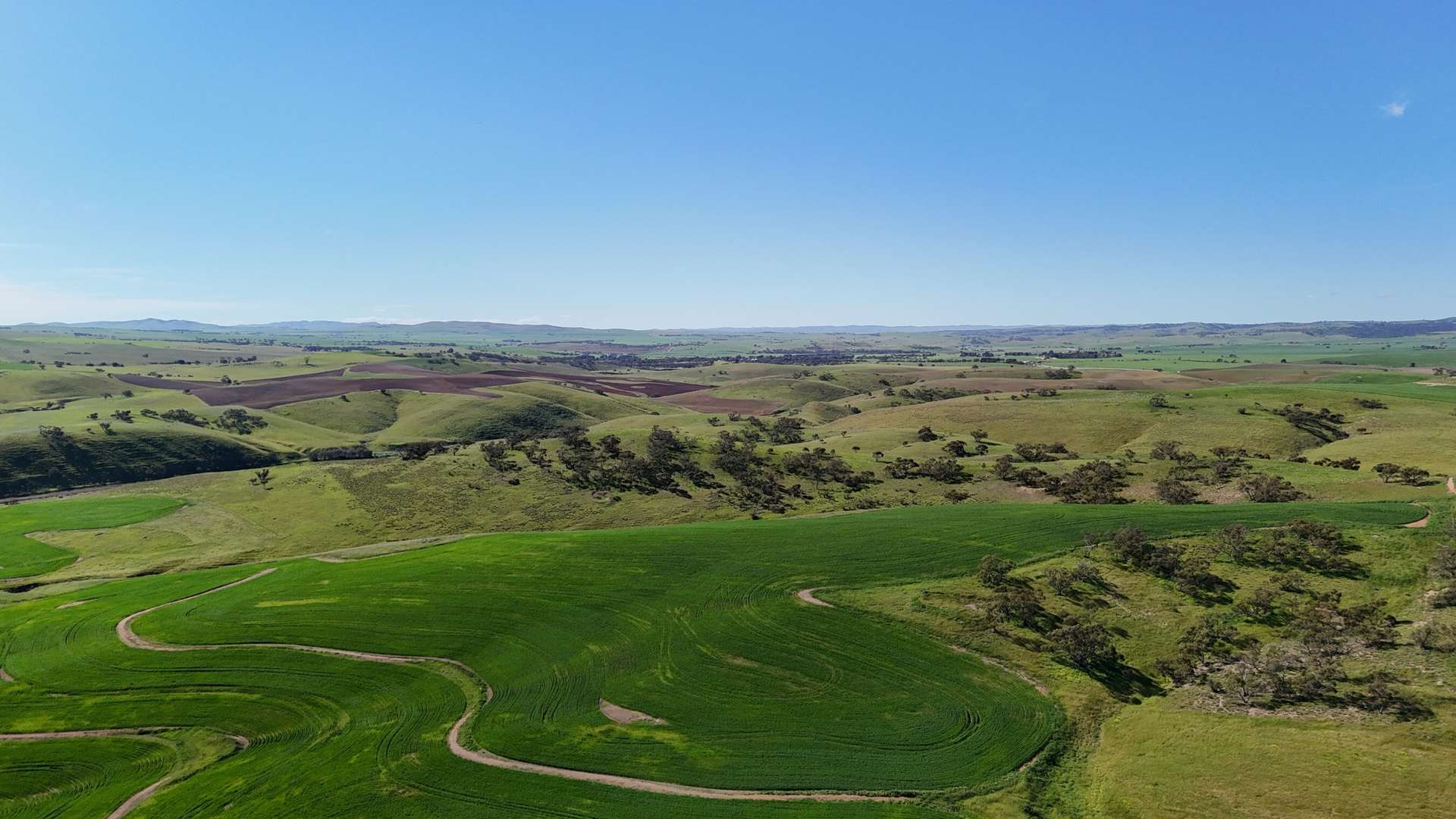 'Riverleigh' 110 Pedler Road, Yacka For Sale by Farmbuy.com - image 10